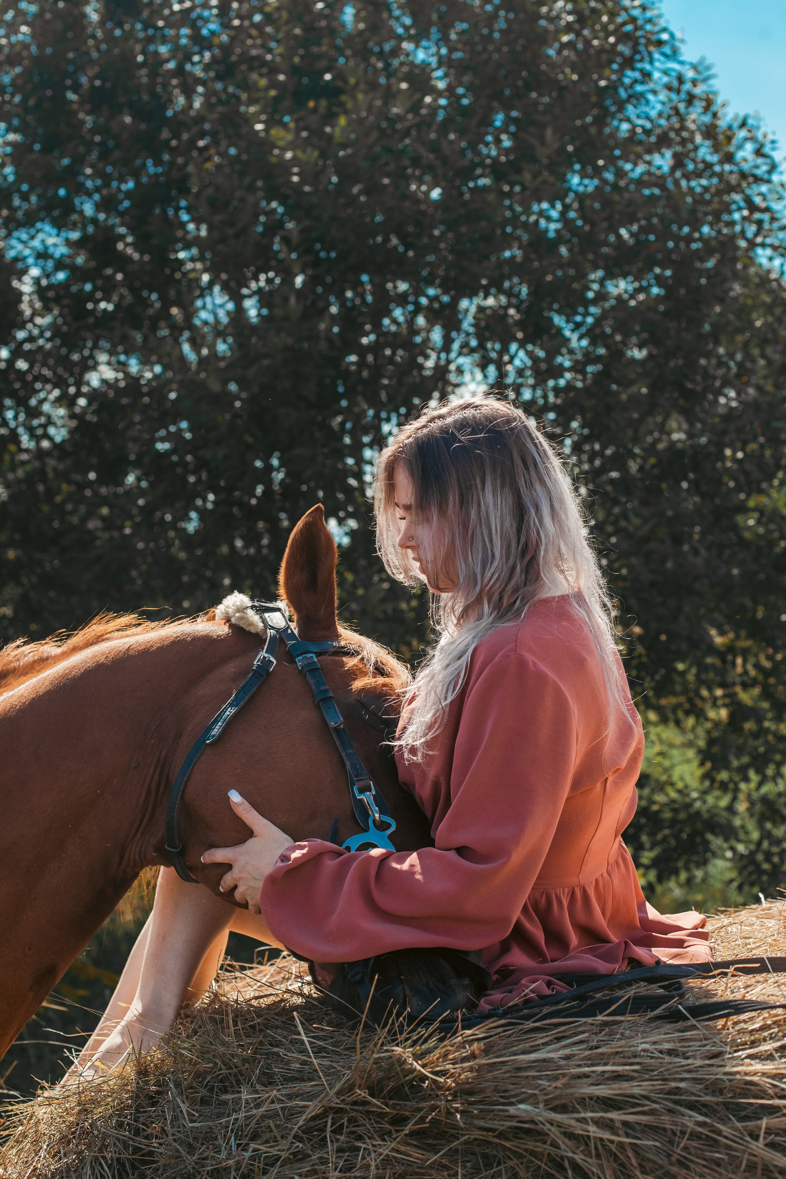 Экспресс фотопрогулка на конюшне. Фотограф-анималист Татьяна Степанова