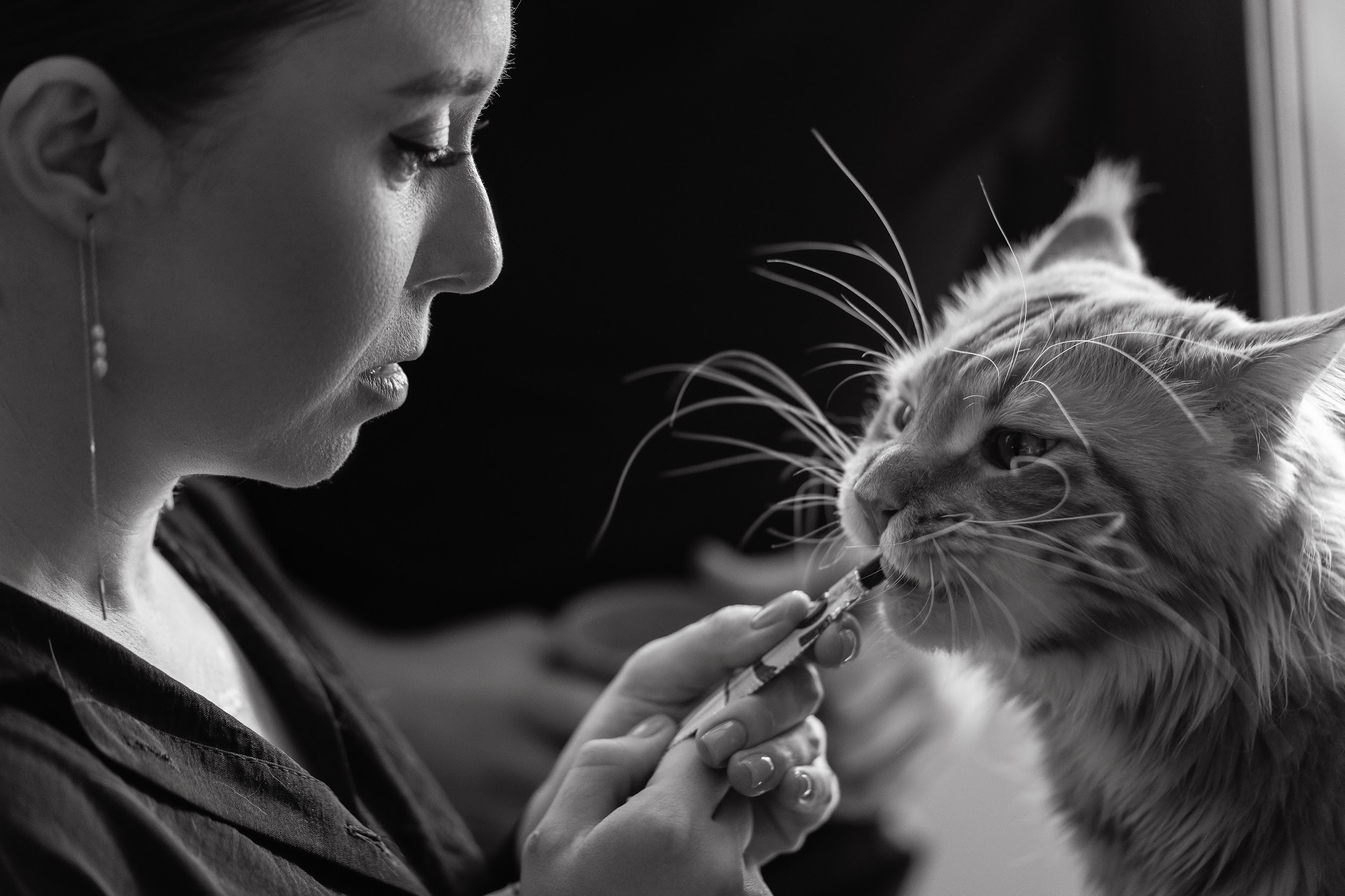 Бело-зеленая свадьба в Усадьбе Ростов-на-Дону| Организатор Event-агентство «До Мурашек». Свадебное и event агентство До Мурашек Ростов-на-Дону