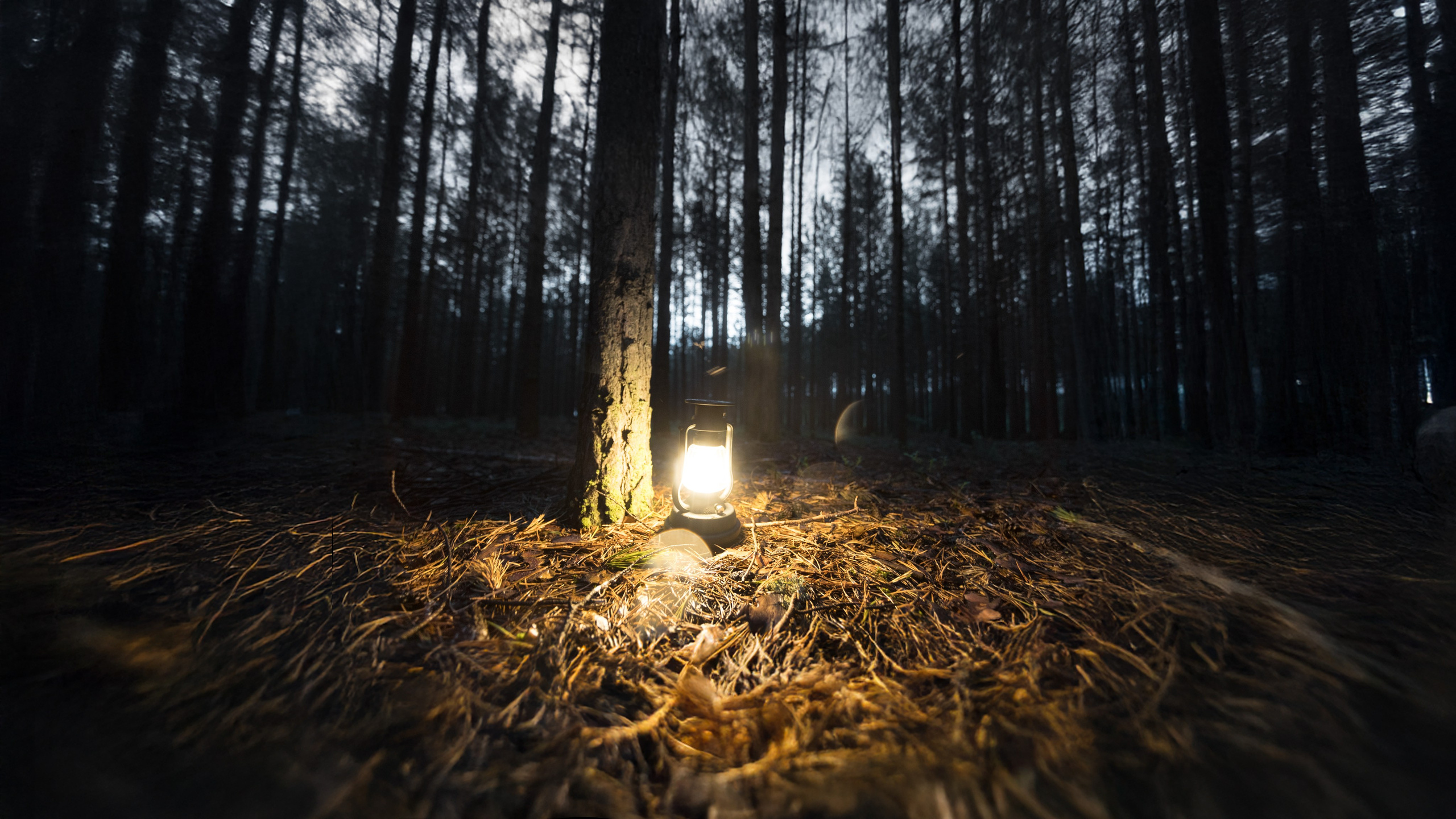 «Stranger Things». Александр Ивасечко | Фотограф Сургут