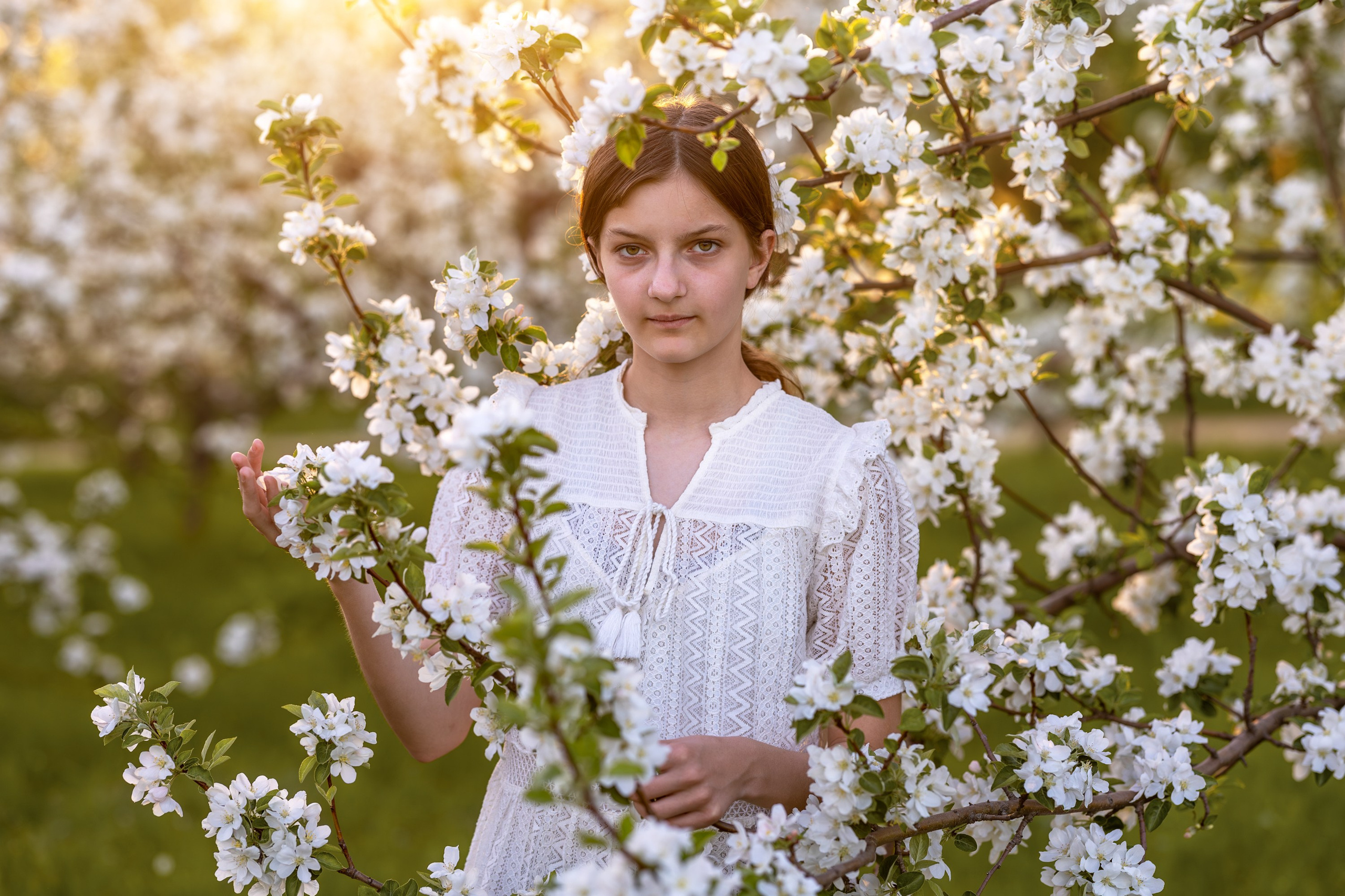 Яблоневый сад. Семейный и детский фотограф в Красноярске, Дивногорцева Светлана