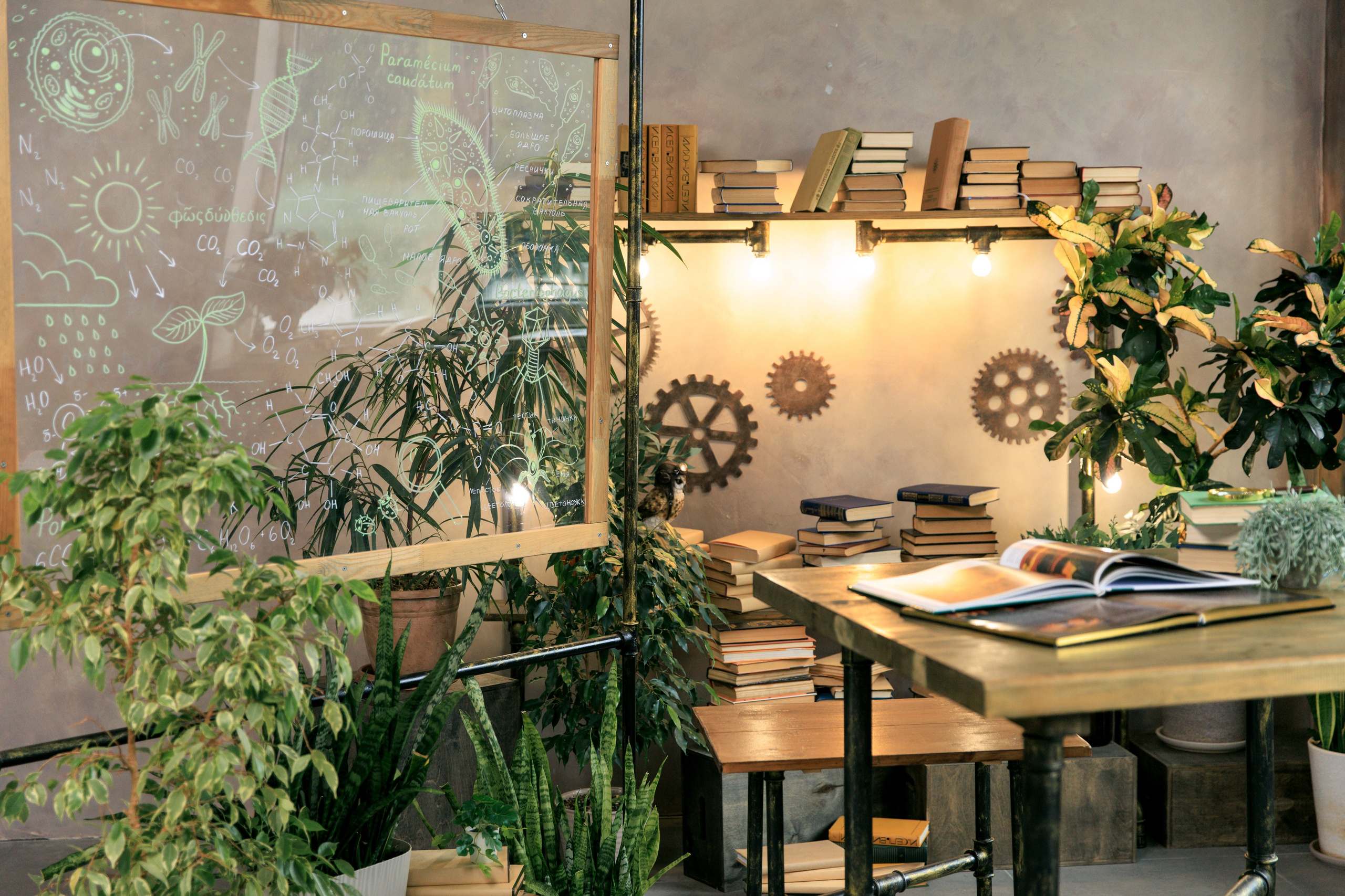 Фотостудия Экла. Выпускные альбомы Евгении Виноградовой г. Липецк