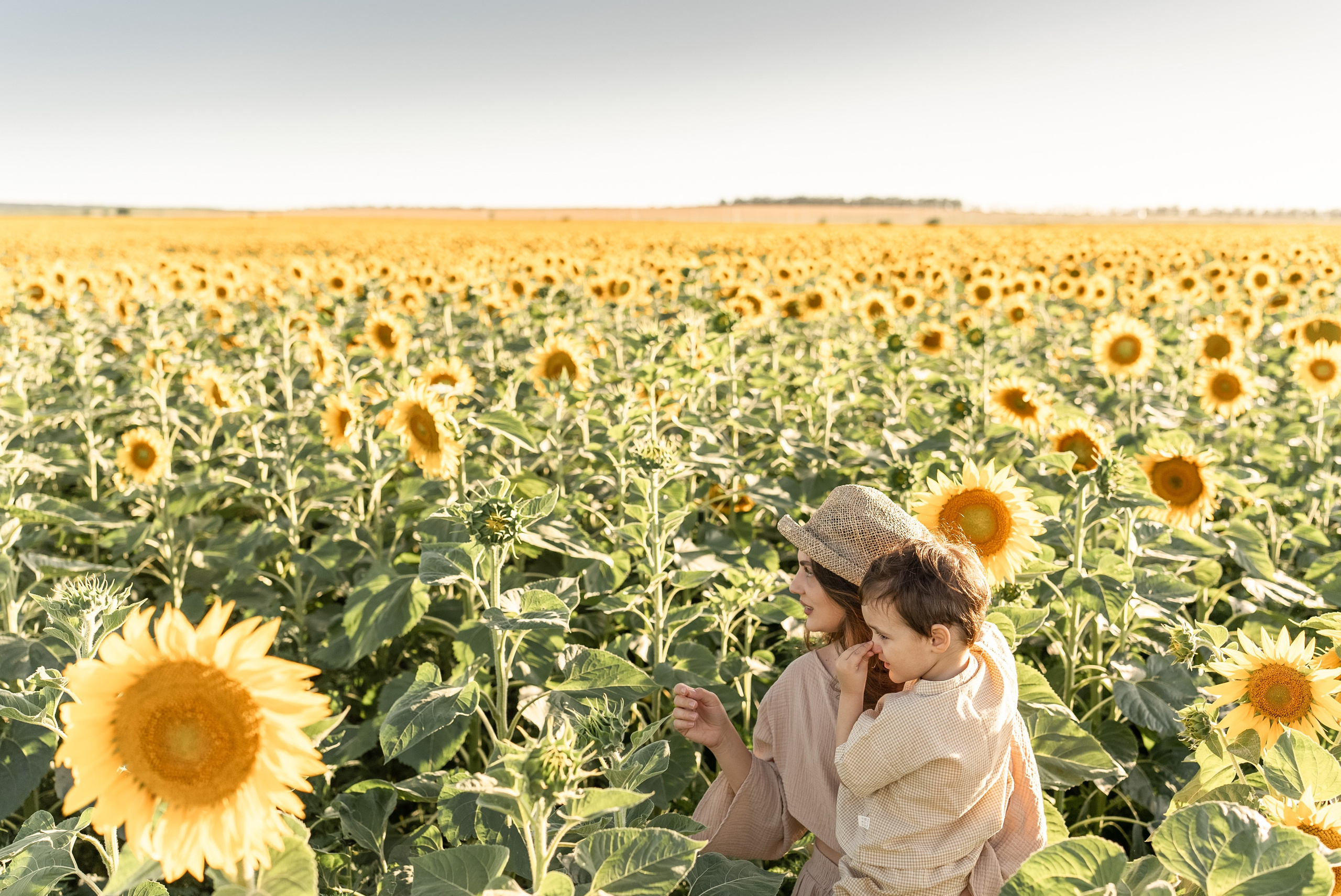 Лето. Подсолнухи. Семейный фотограф и видеограф Алёна Ким