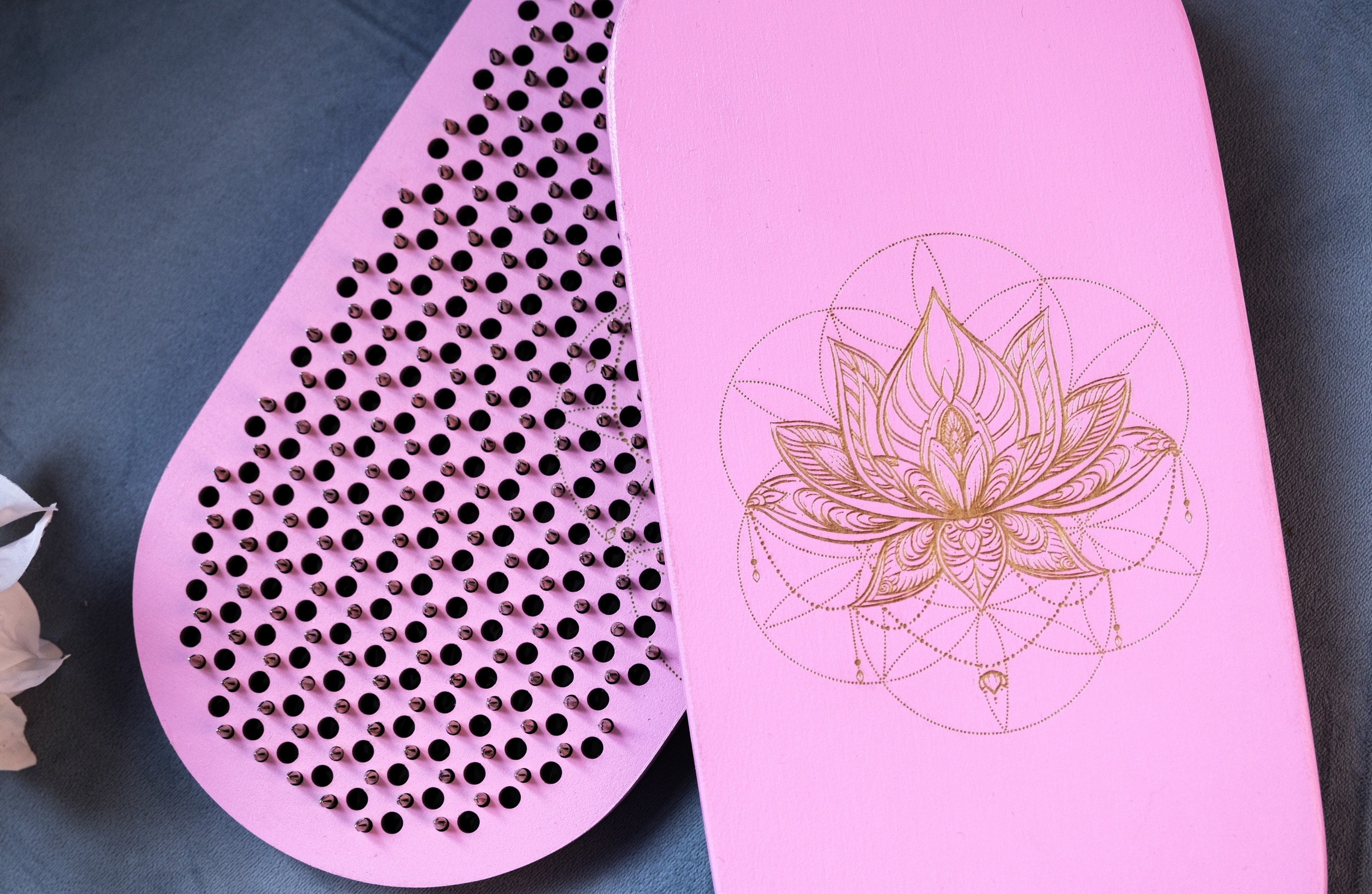 Доски Садху, для Компании «Встань на гвозди». Фотограф Мельник Ирина. Москва