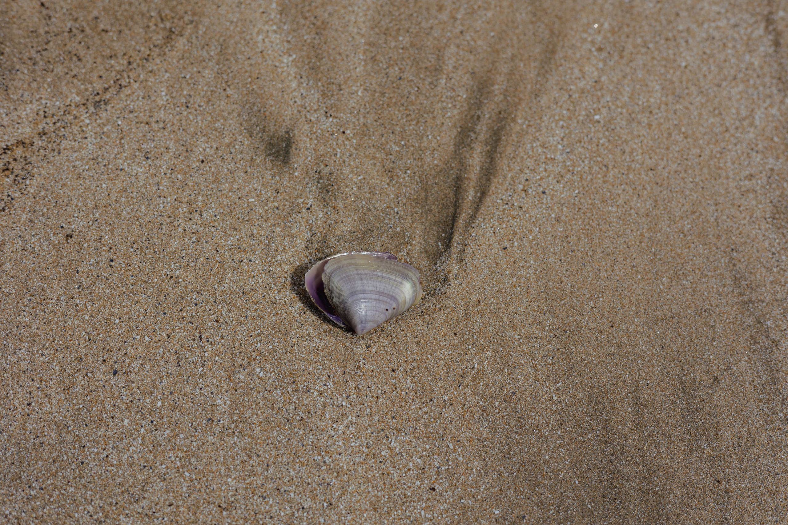 Weligama. Photographer Sonkina Tatiana (Tanya Ash)