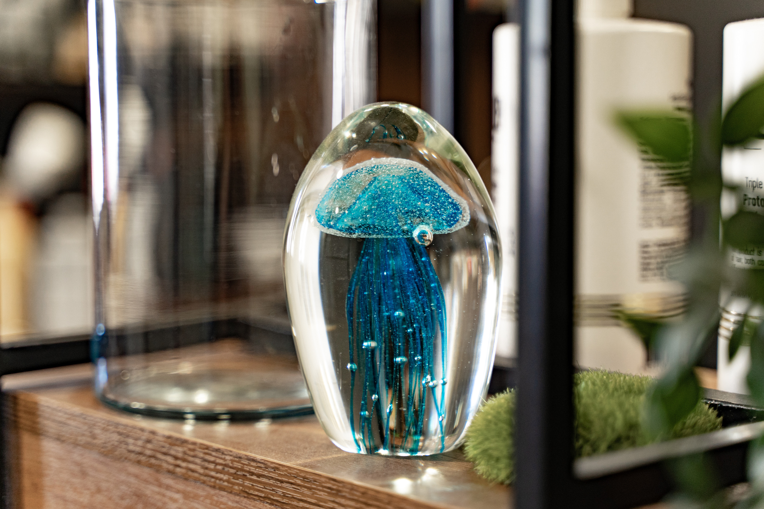 Контент для бровиста. Анастасия Дунаева. Фотограф в Севастополе