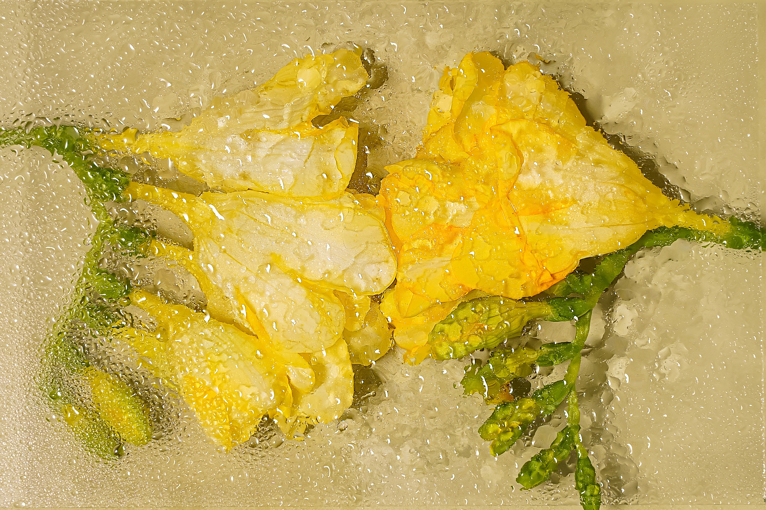 Сыворотка. Фото для соц сети. Анастасия Дунаева. Фотограф в Севастополе