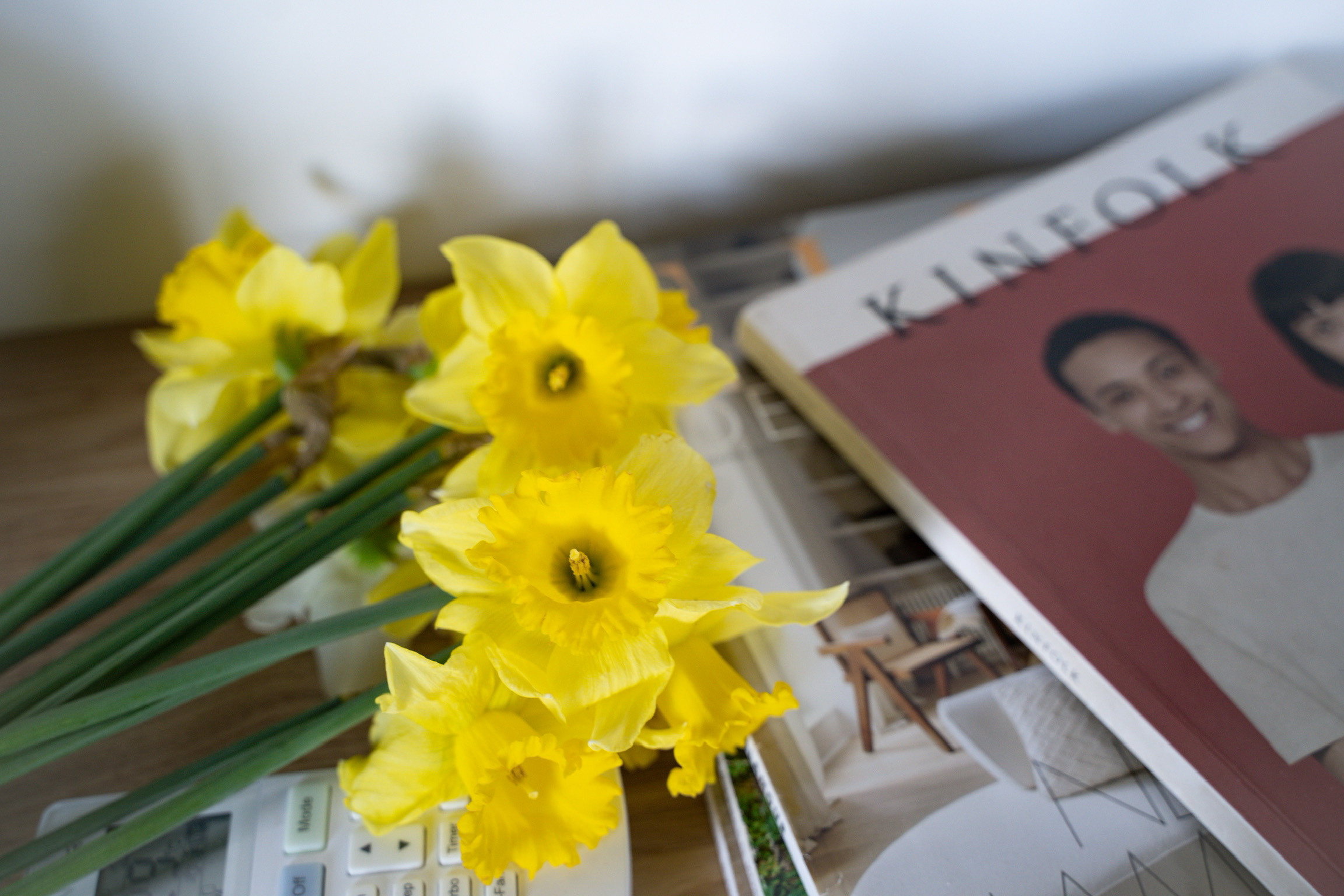 Виктория. Анастасия Дунаева. Фотограф в Севастополе
