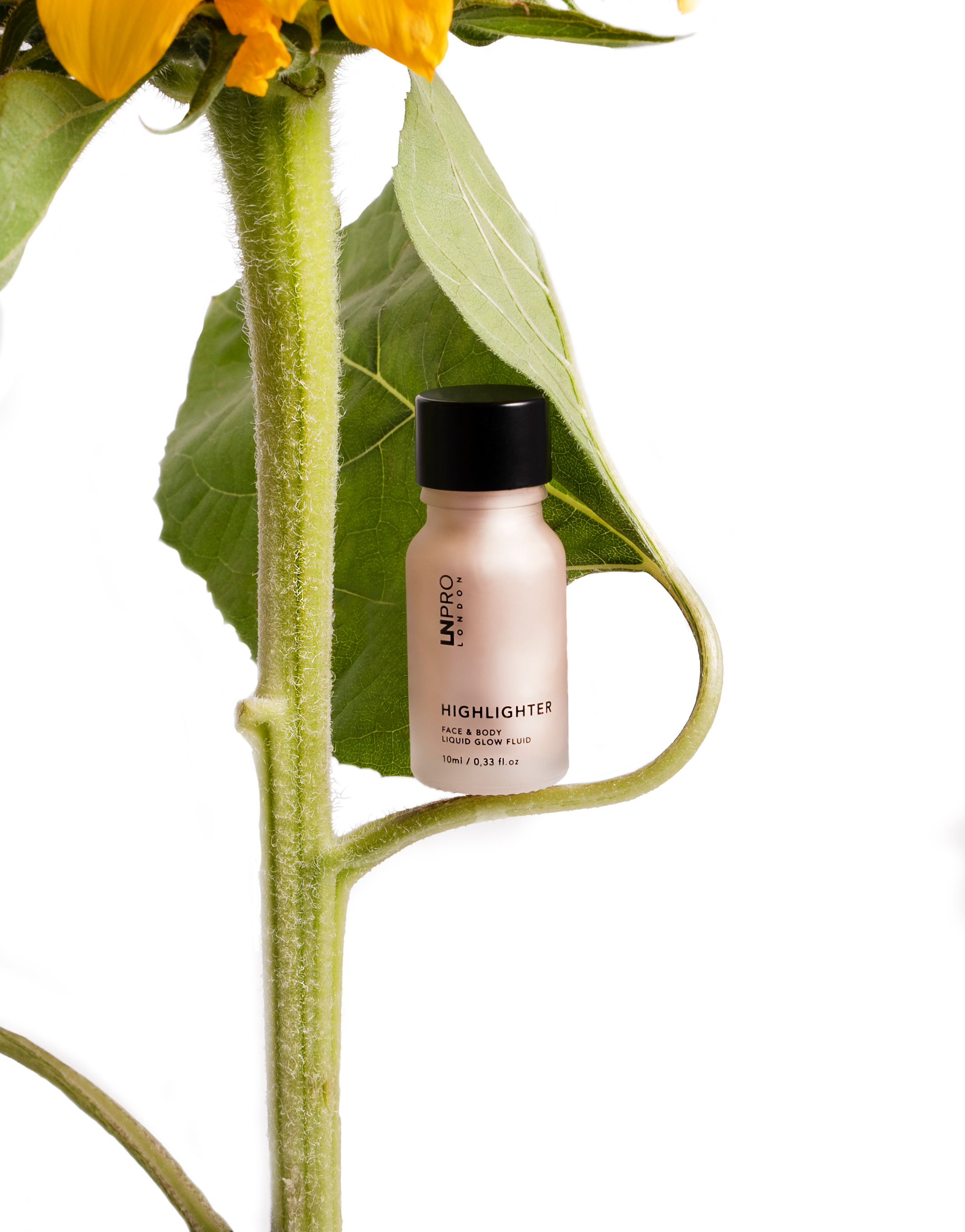 Хайлайтер для лица. Имидж кадры. Анастасия Дунаева. Фотограф в Севастополе