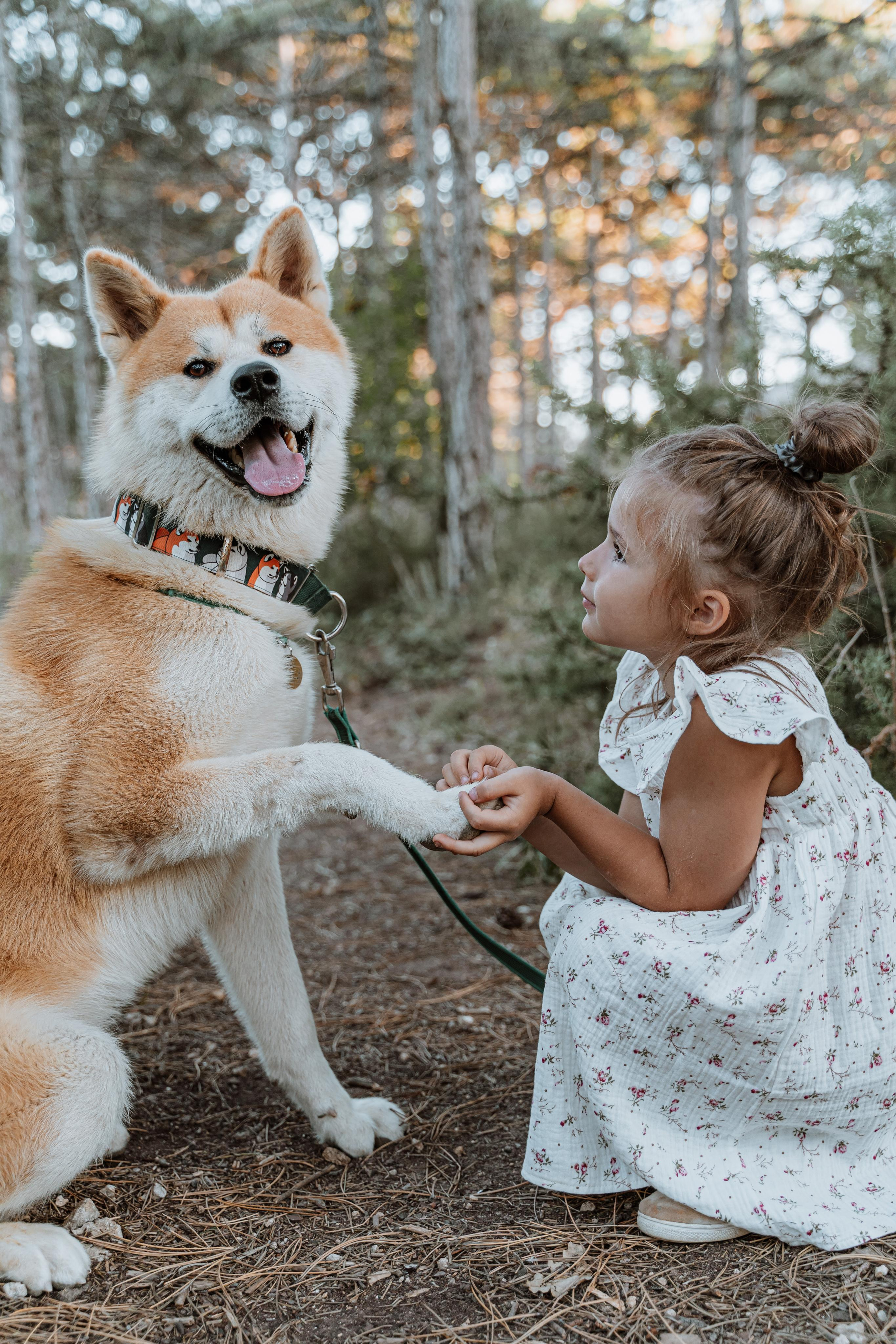 Васелиса и Дейки. Анастасия Дунаева. Фотограф в Севастополе