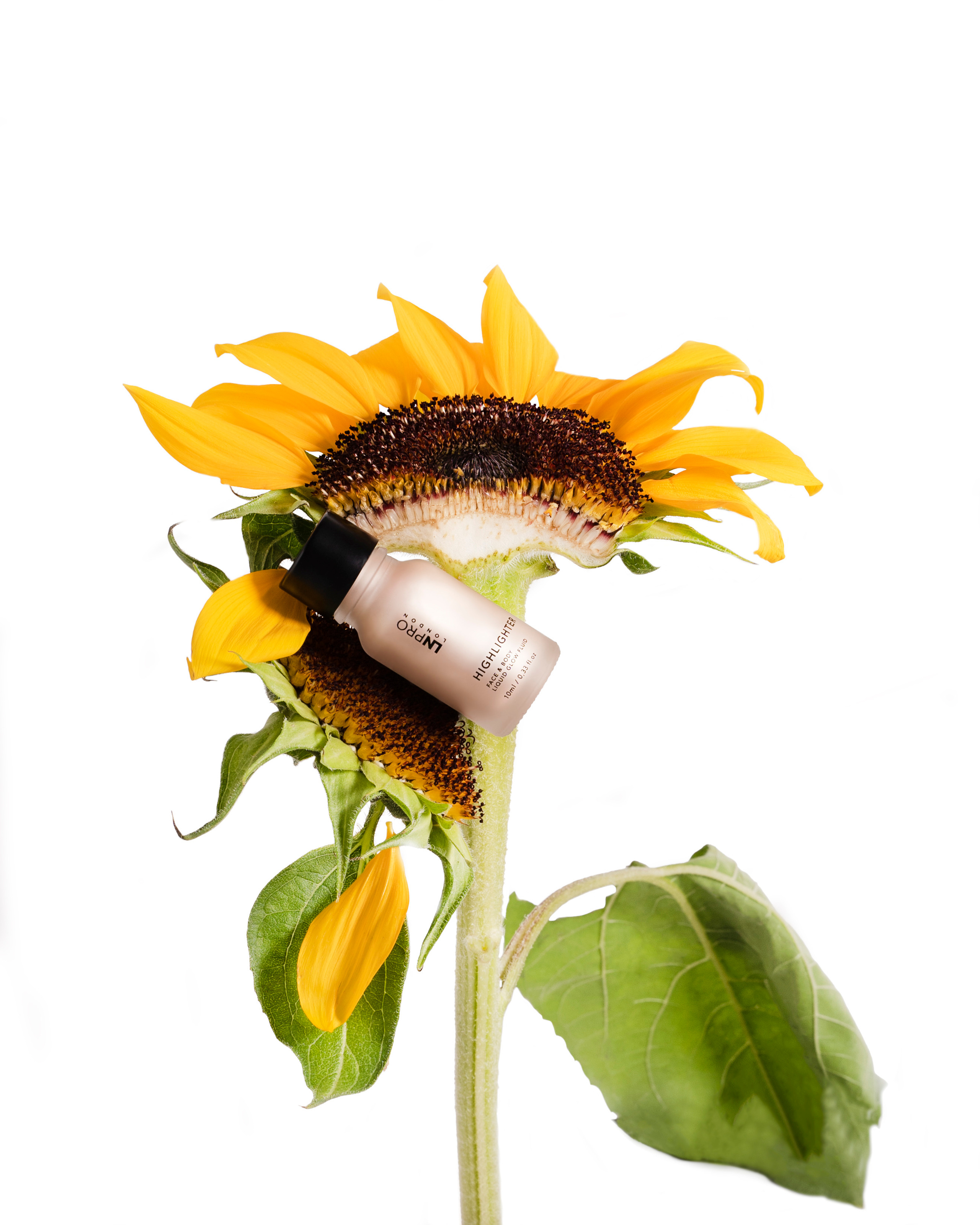 Хайлайтер для лица. Имидж кадры. Анастасия Дунаева. Фотограф в Севастополе