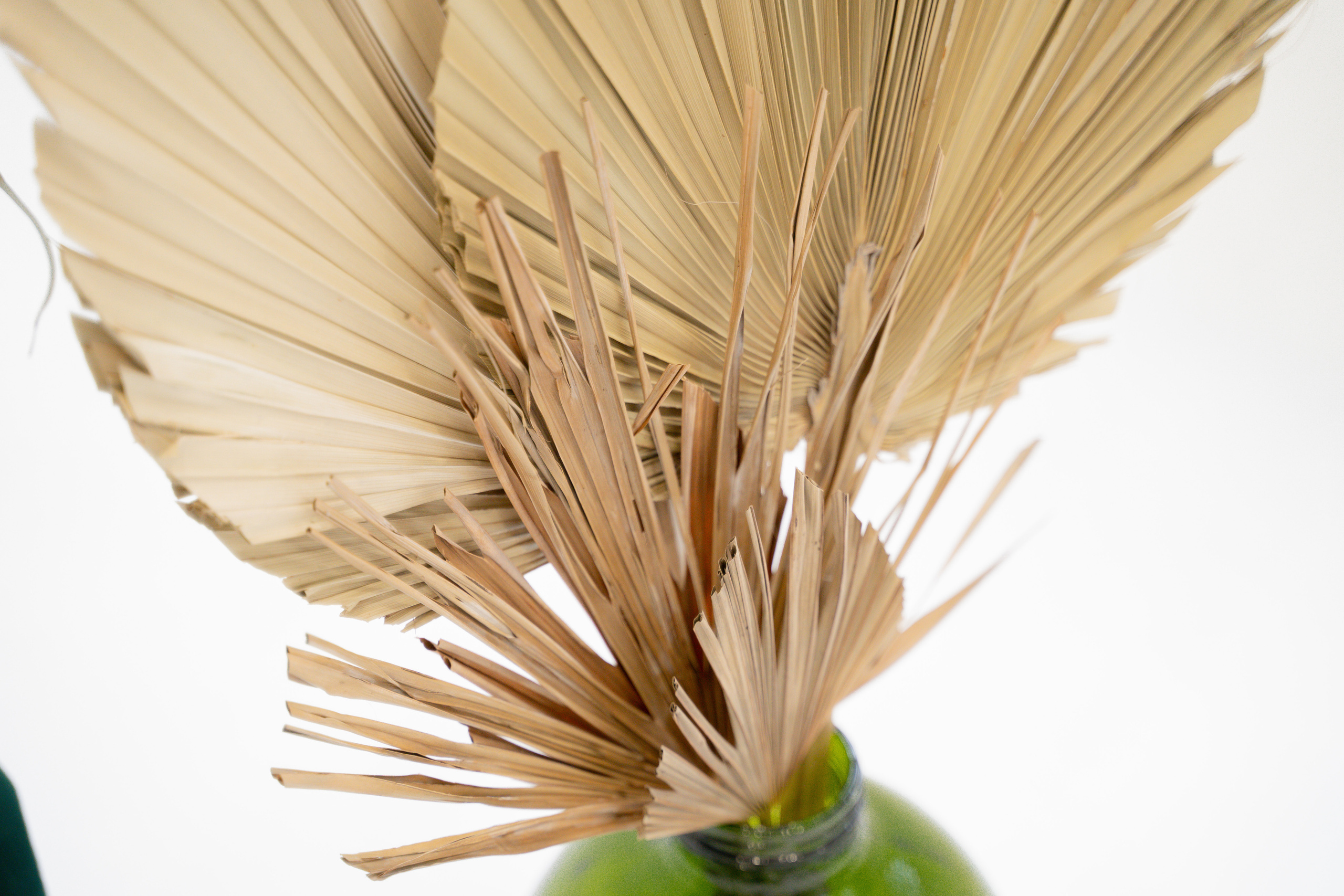 «Артиго». Анастасия Дунаева. Фотограф в Севастополе