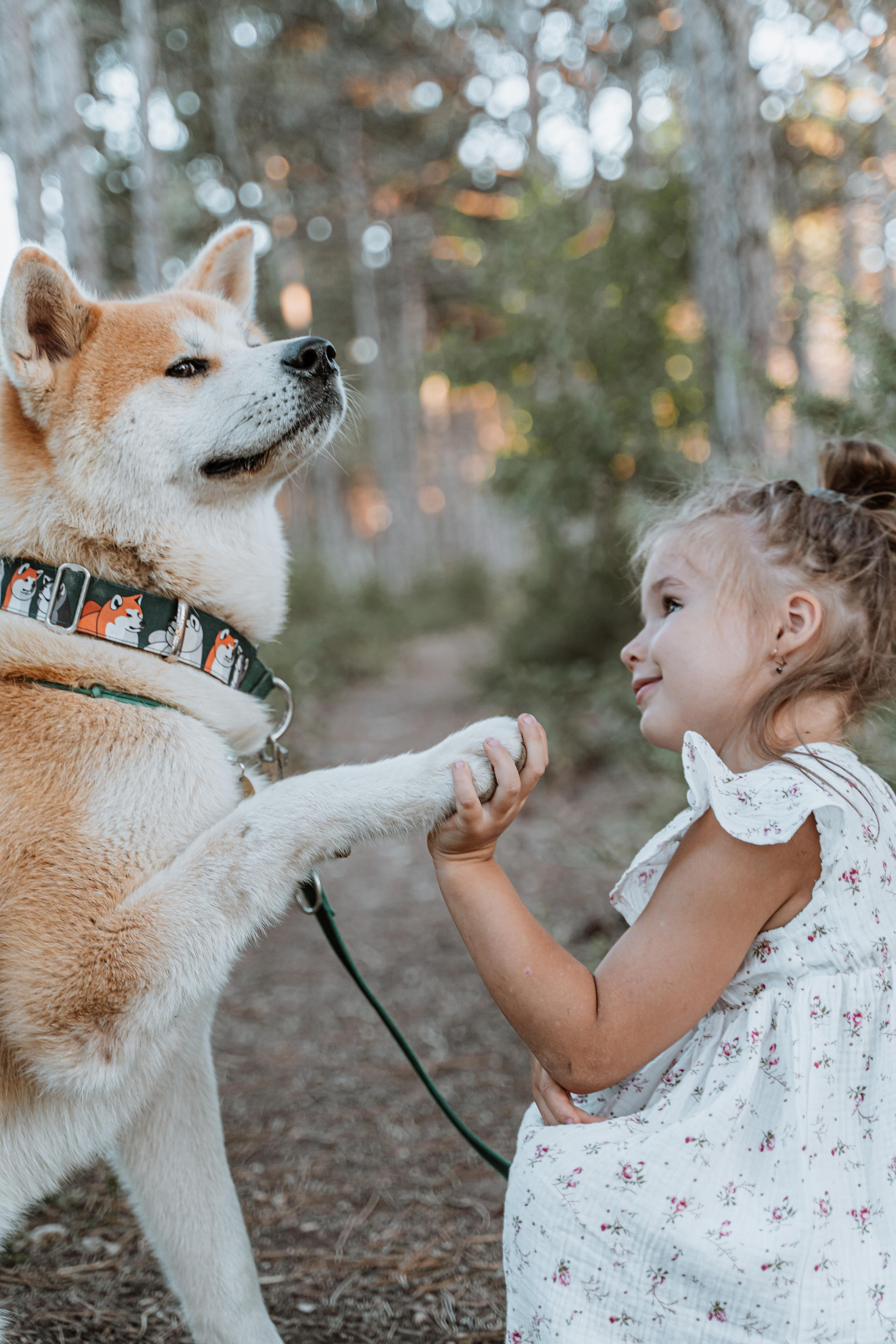 Васелиса и Дейки. Анастасия Дунаева. Фотограф в Севастополе