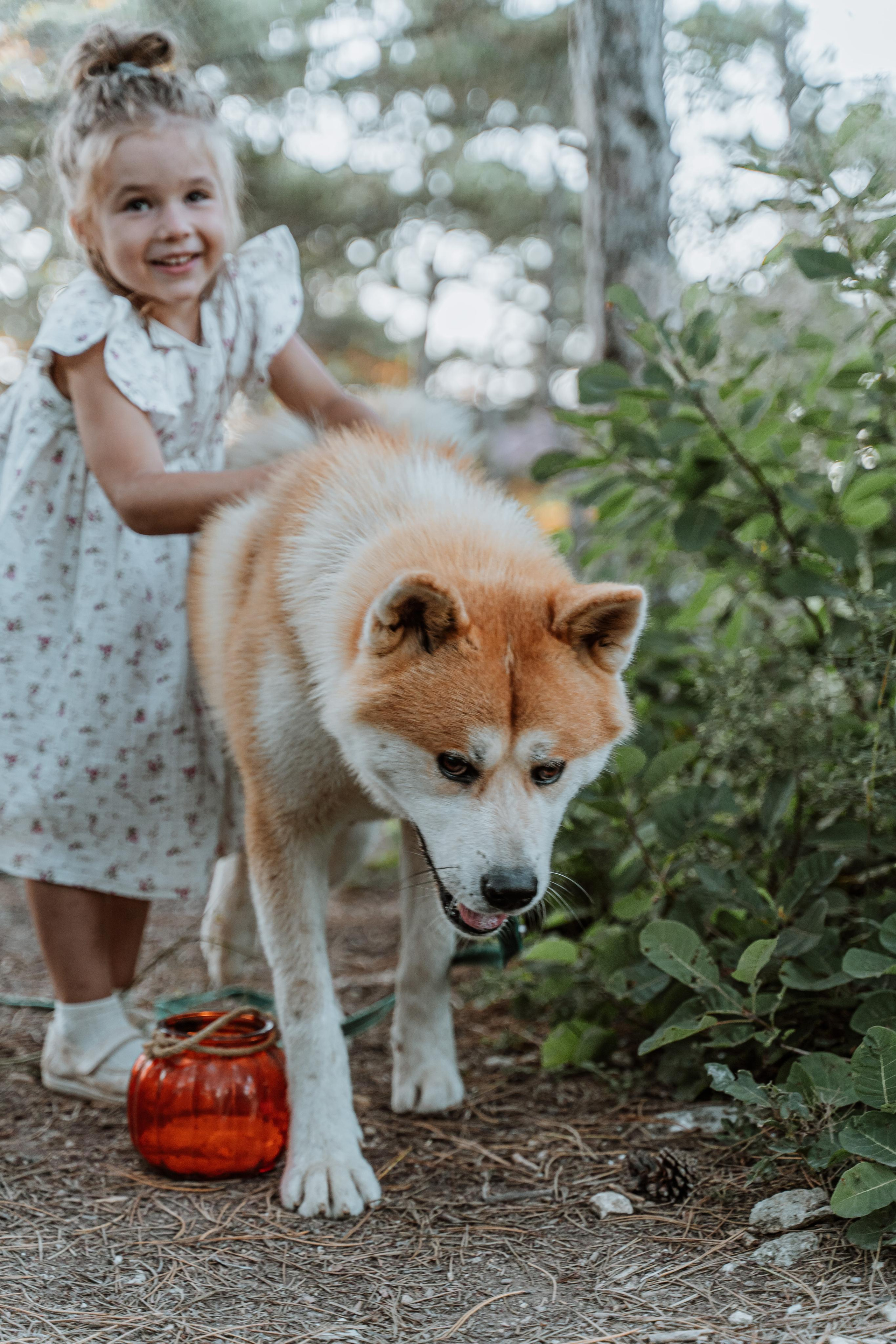 Васелиса и Дейки. Анастасия Дунаева. Фотограф в Севастополе
