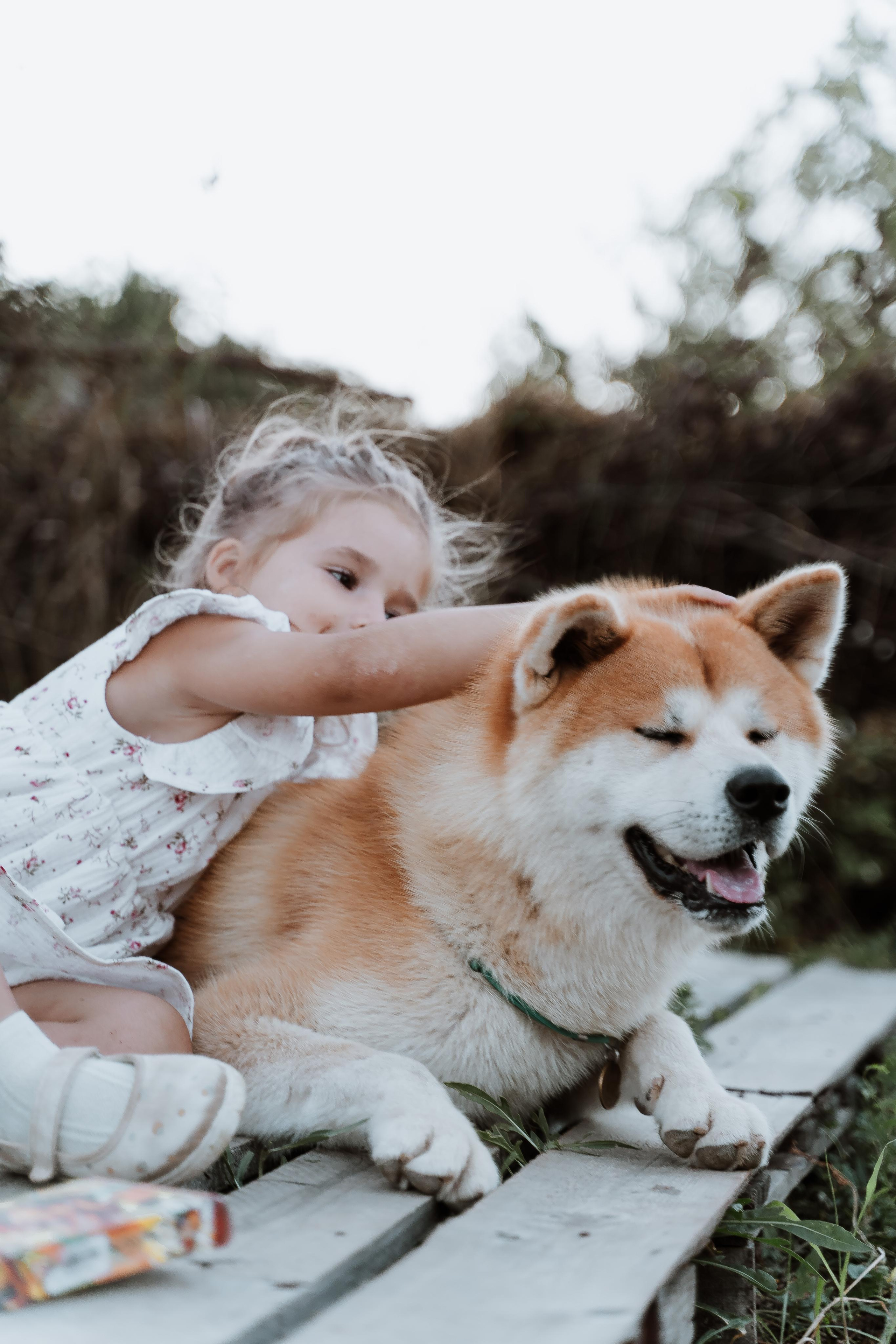 Васелиса и Дейки. Анастасия Дунаева. Фотограф в Севастополе