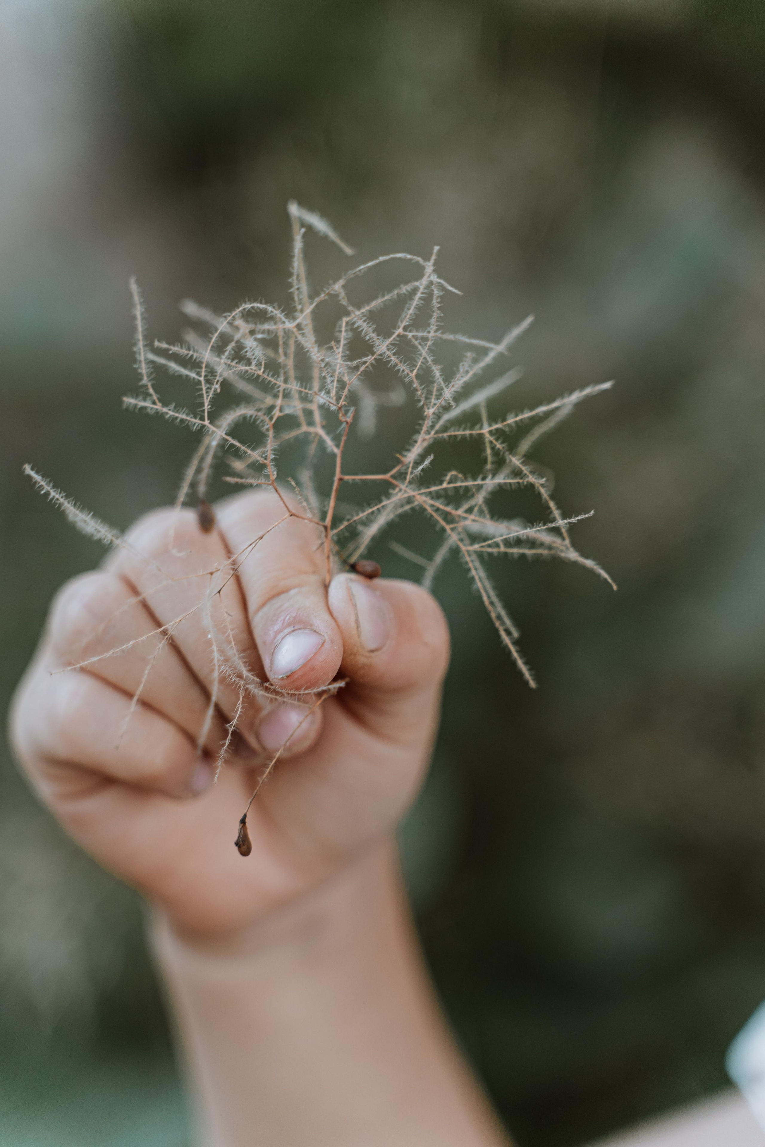 Васелиса и Дейки. Анастасия Дунаева. Фотограф в Севастополе