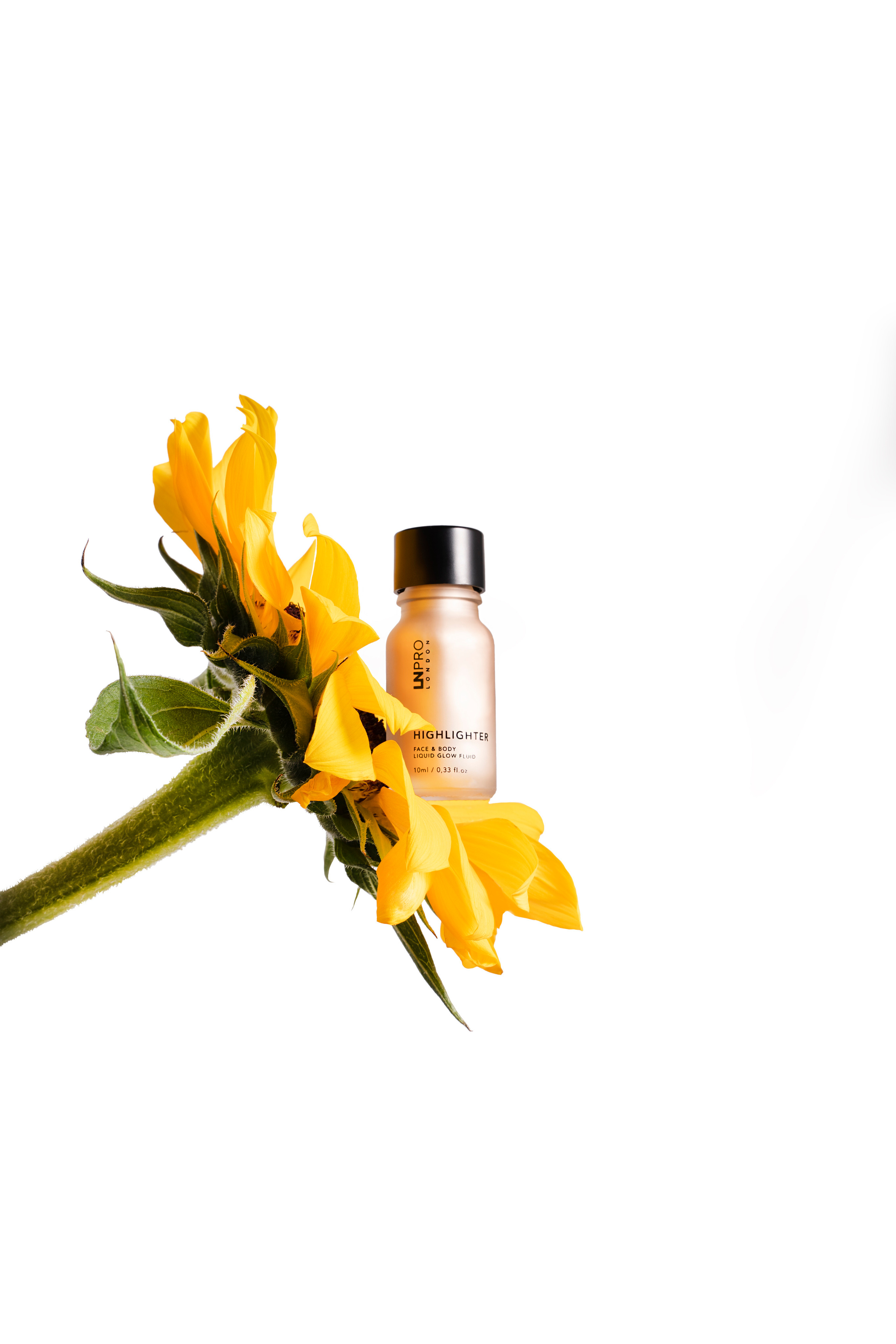 Хайлайтер для лица. Имидж кадры. Анастасия Дунаева. Фотограф в Севастополе