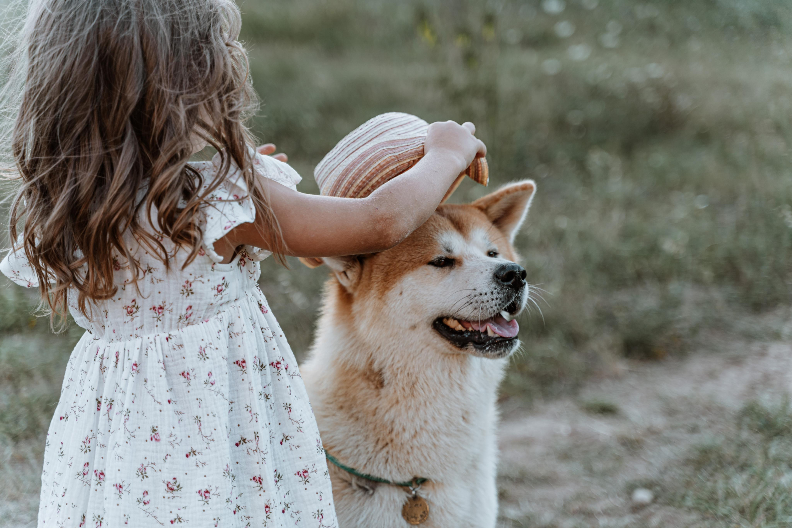 Васелиса и Дейки. Анастасия Дунаева. Фотограф в Севастополе