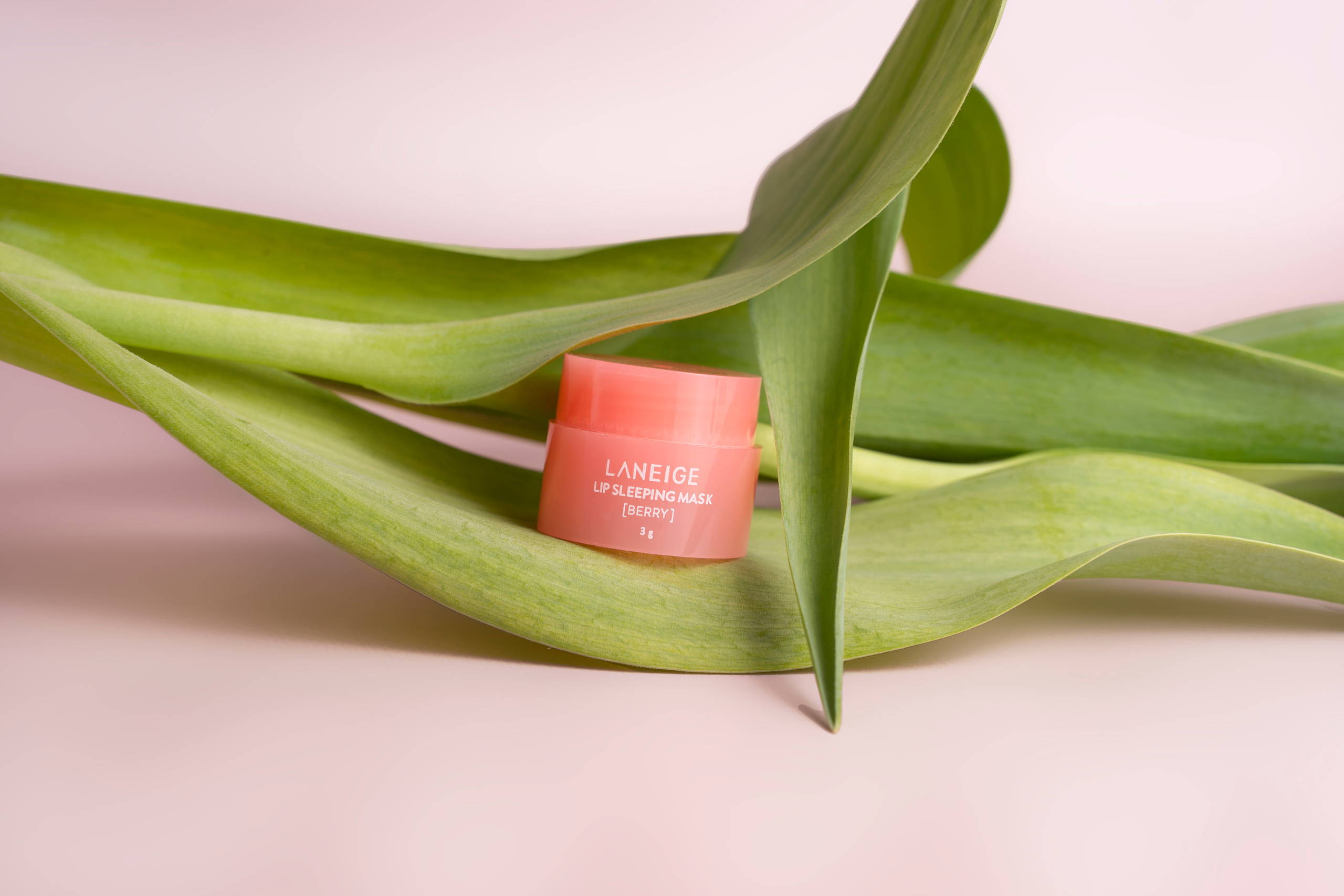 Маска для губ. Фото для сайта. Анастасия Дунаева. Фотограф в Севастополе