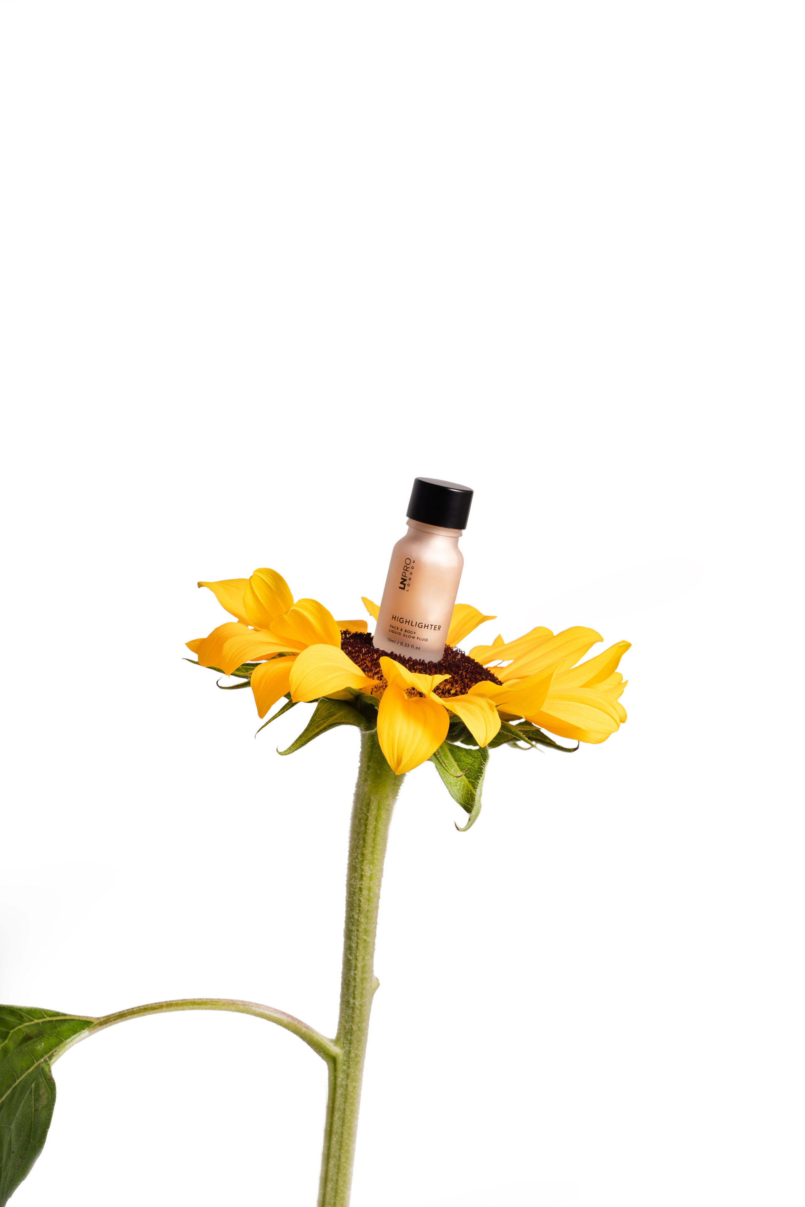 Хайлайтер для лица. Имидж кадры. Анастасия Дунаева. Фотограф в Севастополе