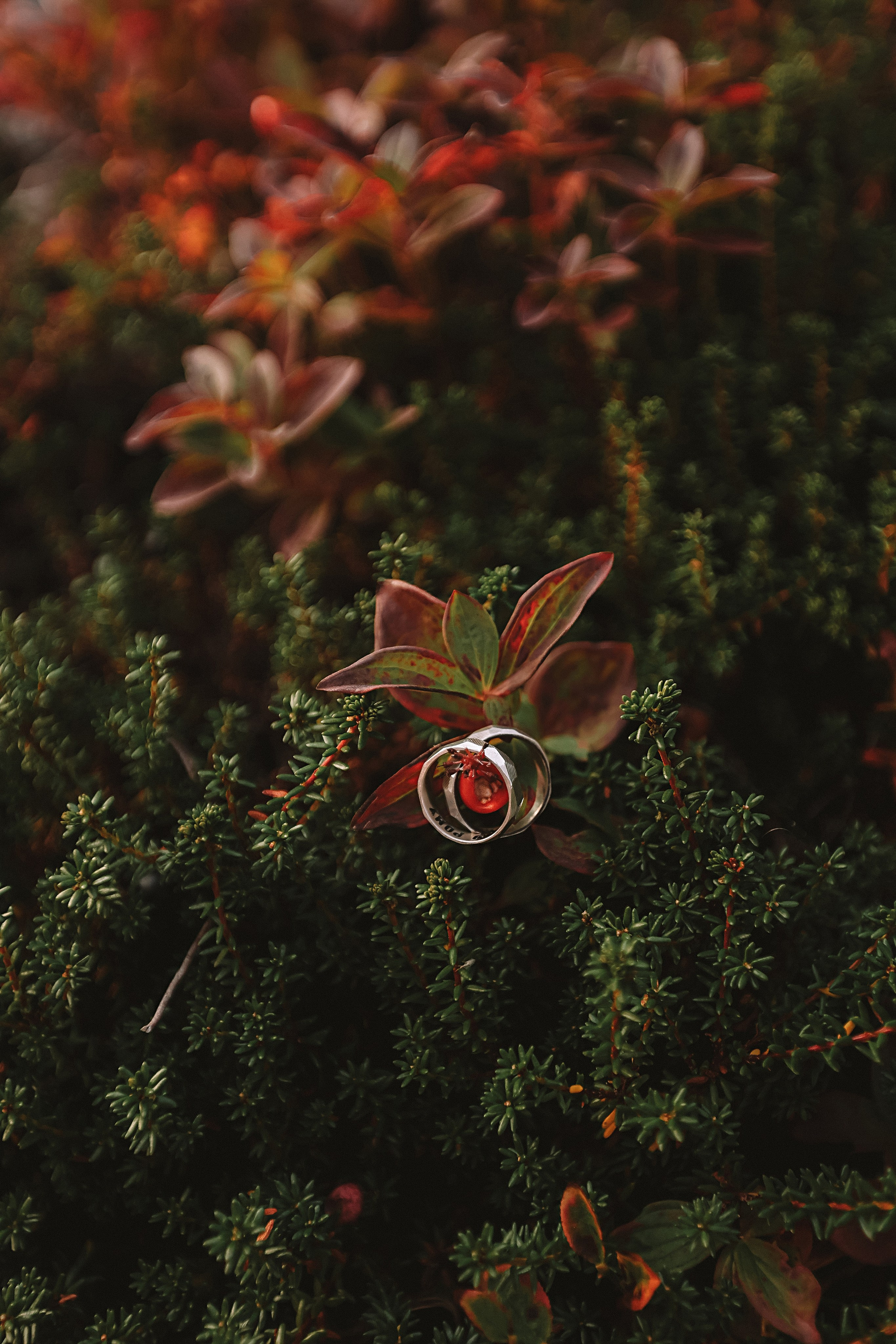 Териберка. Семейный фотограф Тюмень, фотограф на роды Салмина Мария