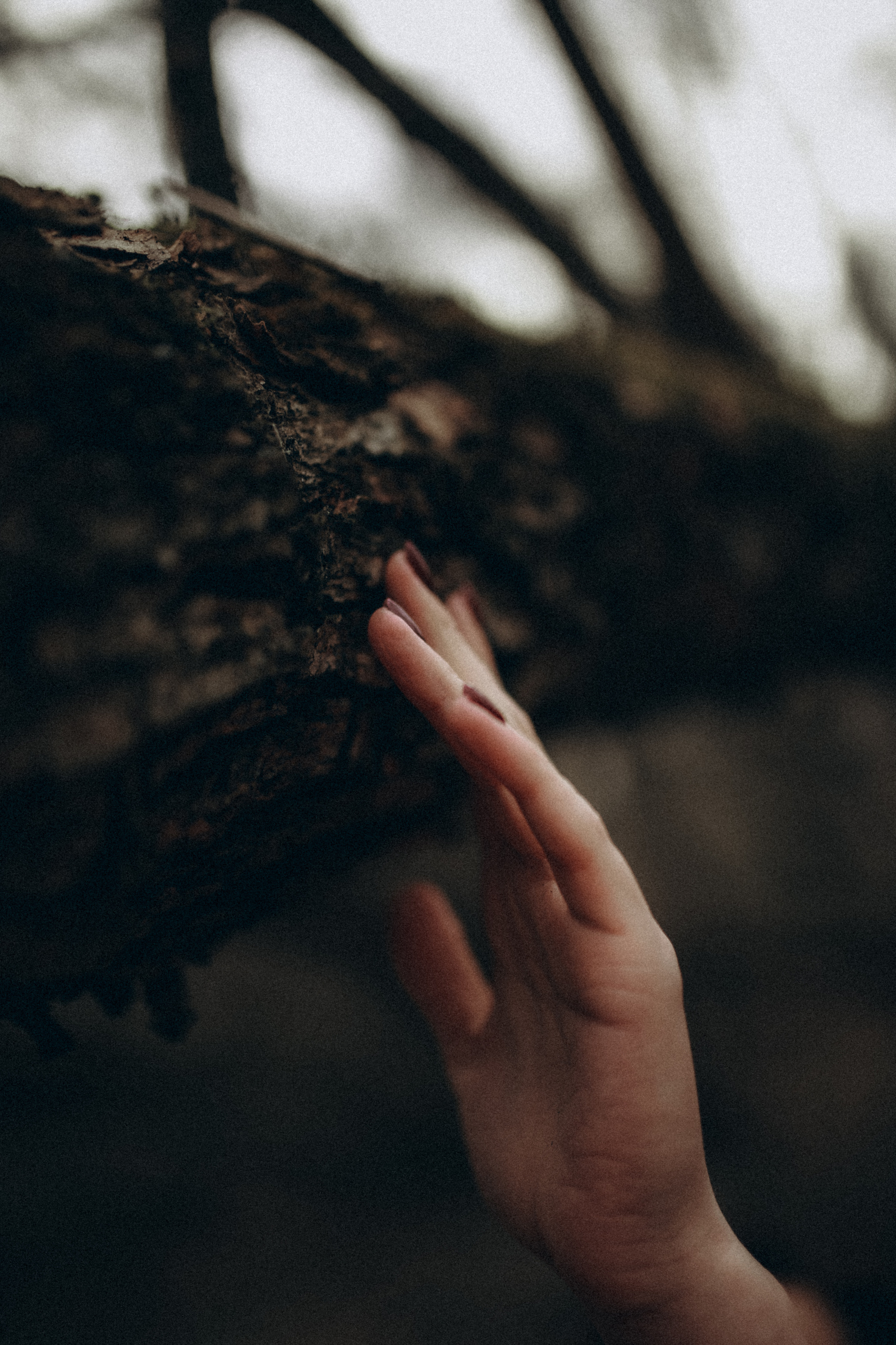 Виктория-Антуанетта. Фотограф НОГИНСК, Москва, Анастасия Белая