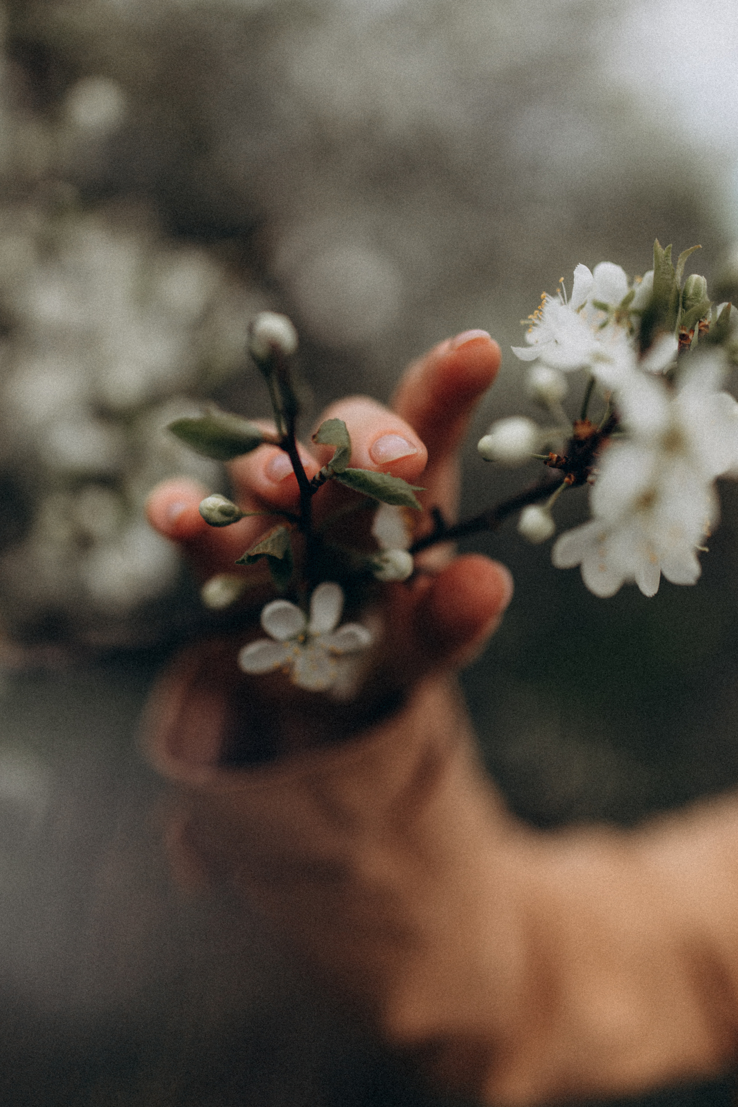 Алина. Фотограф НОГИНСК, Москва, Анастасия Белая