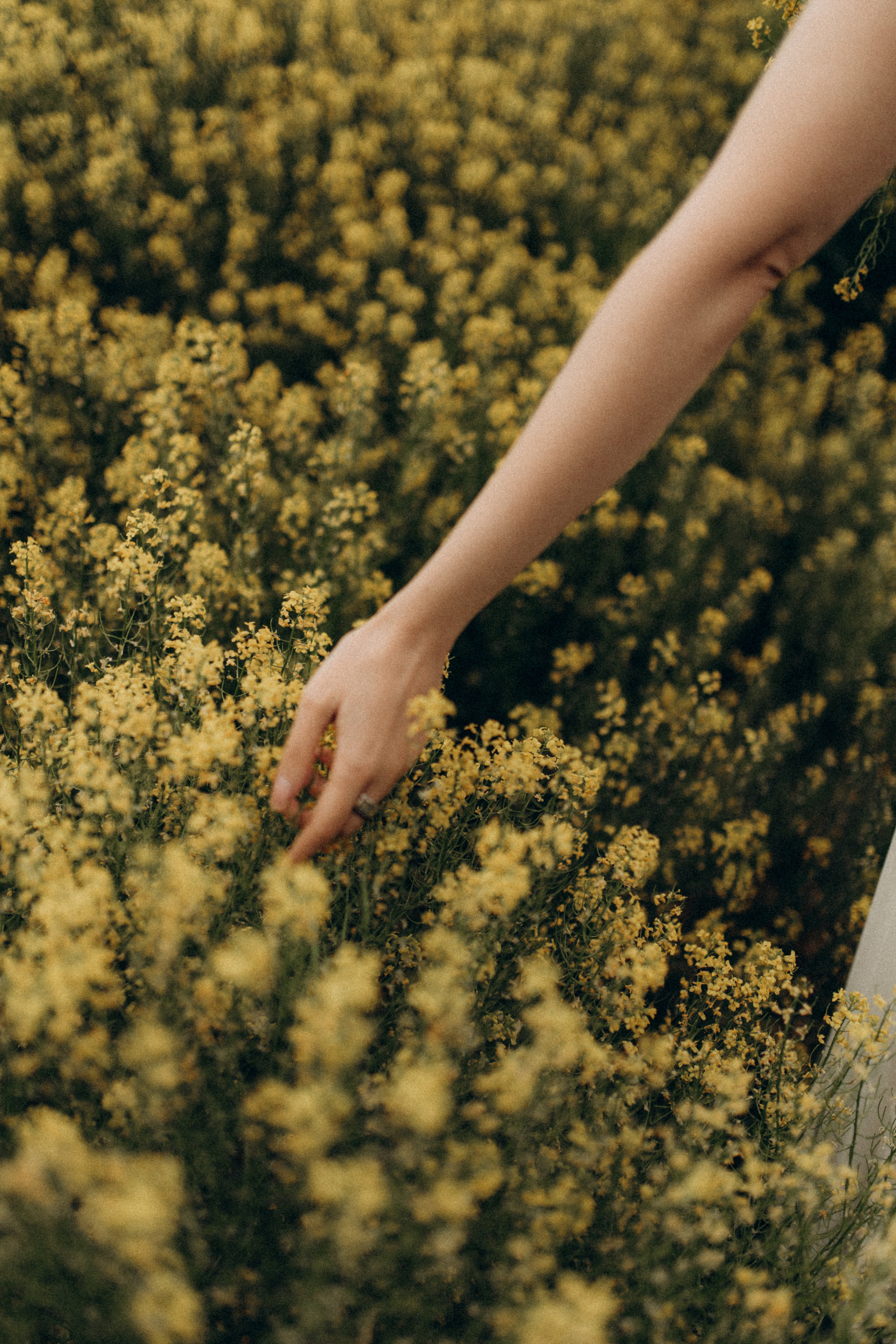 Сёстры Юля & Алина. Фотограф НОГИНСК, Москва, Анастасия Белая