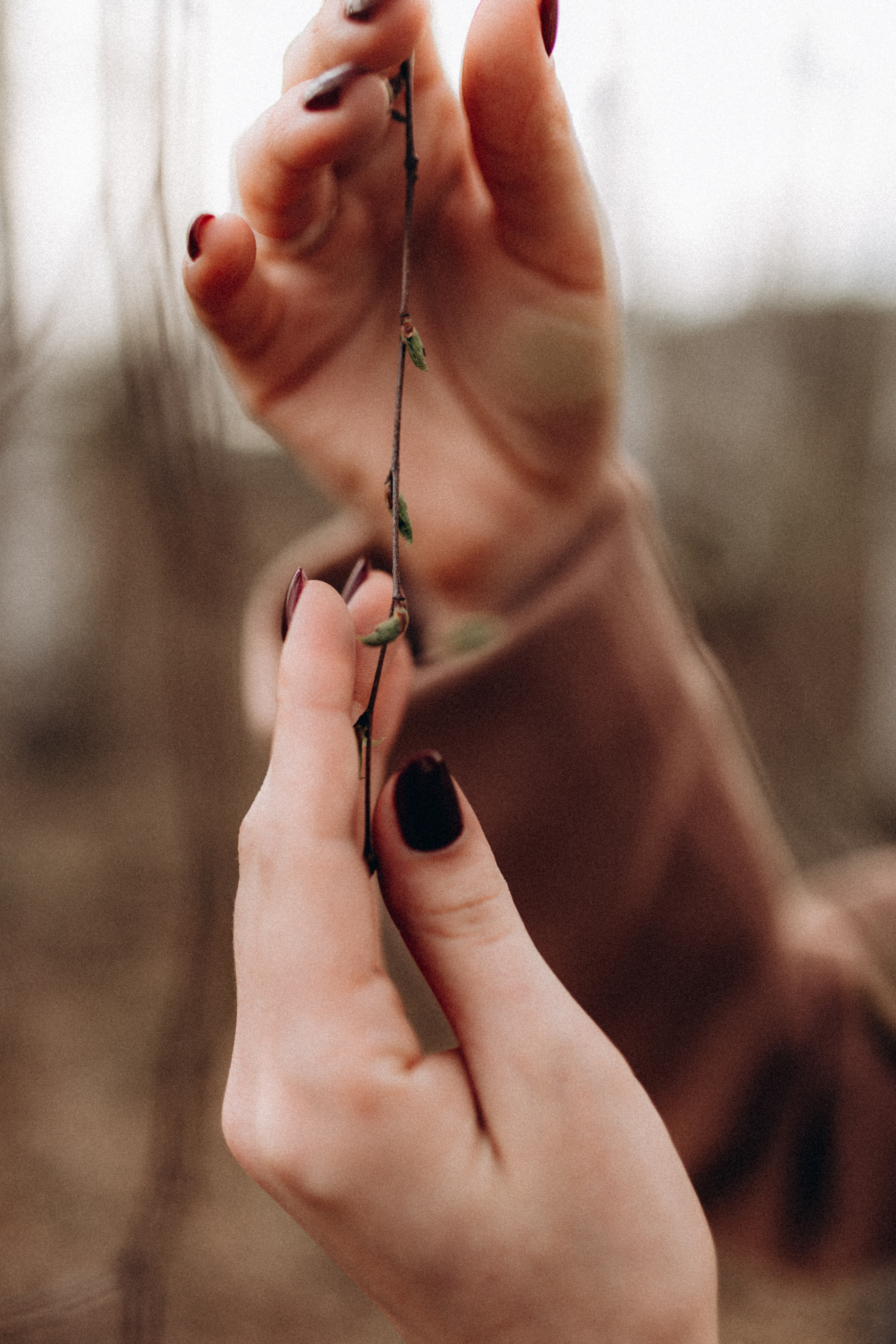 Виктория-Антуанетта. Фотограф НОГИНСК, Москва, Анастасия Белая