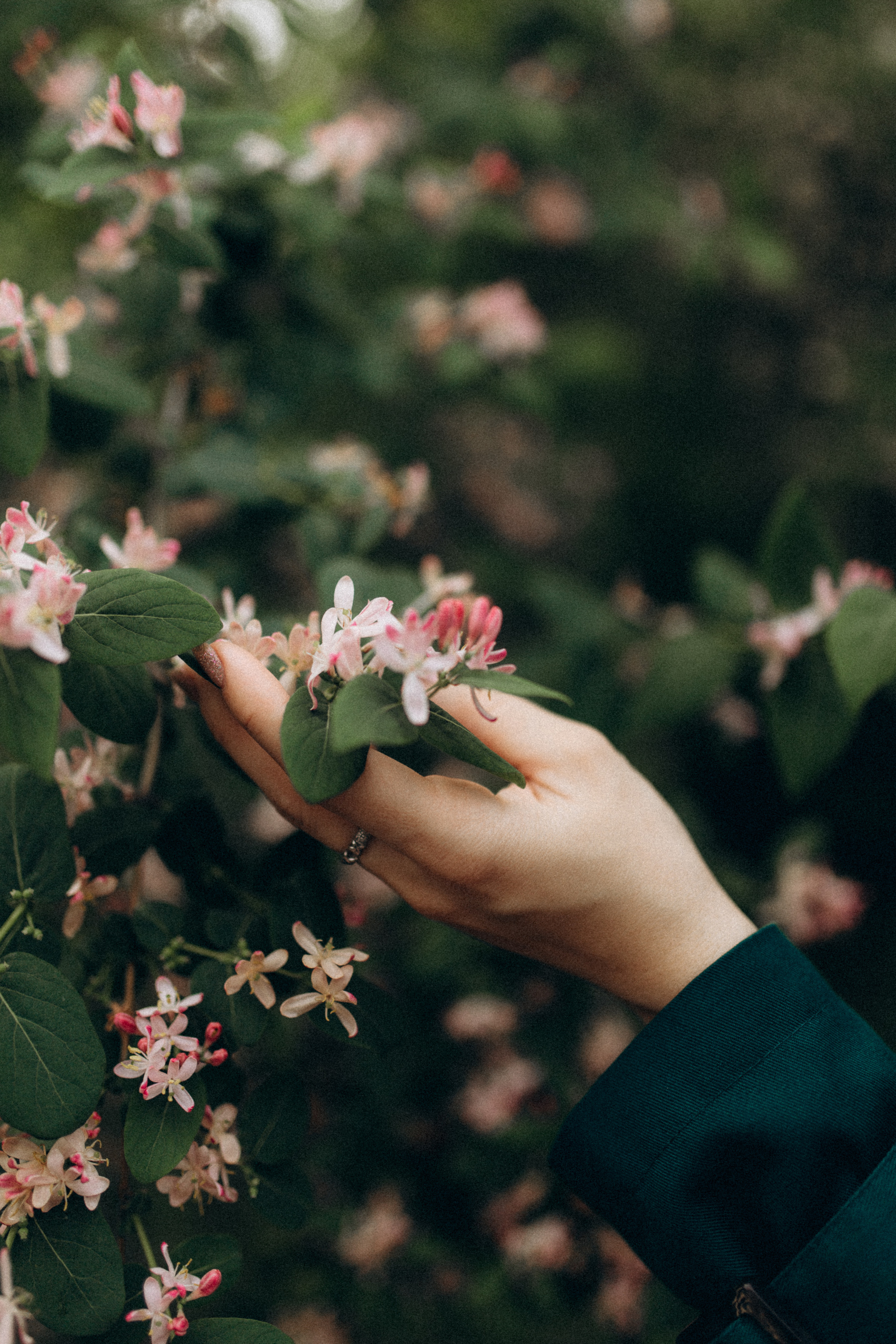 Алёна. Фотограф НОГИНСК, Москва, Анастасия Белая