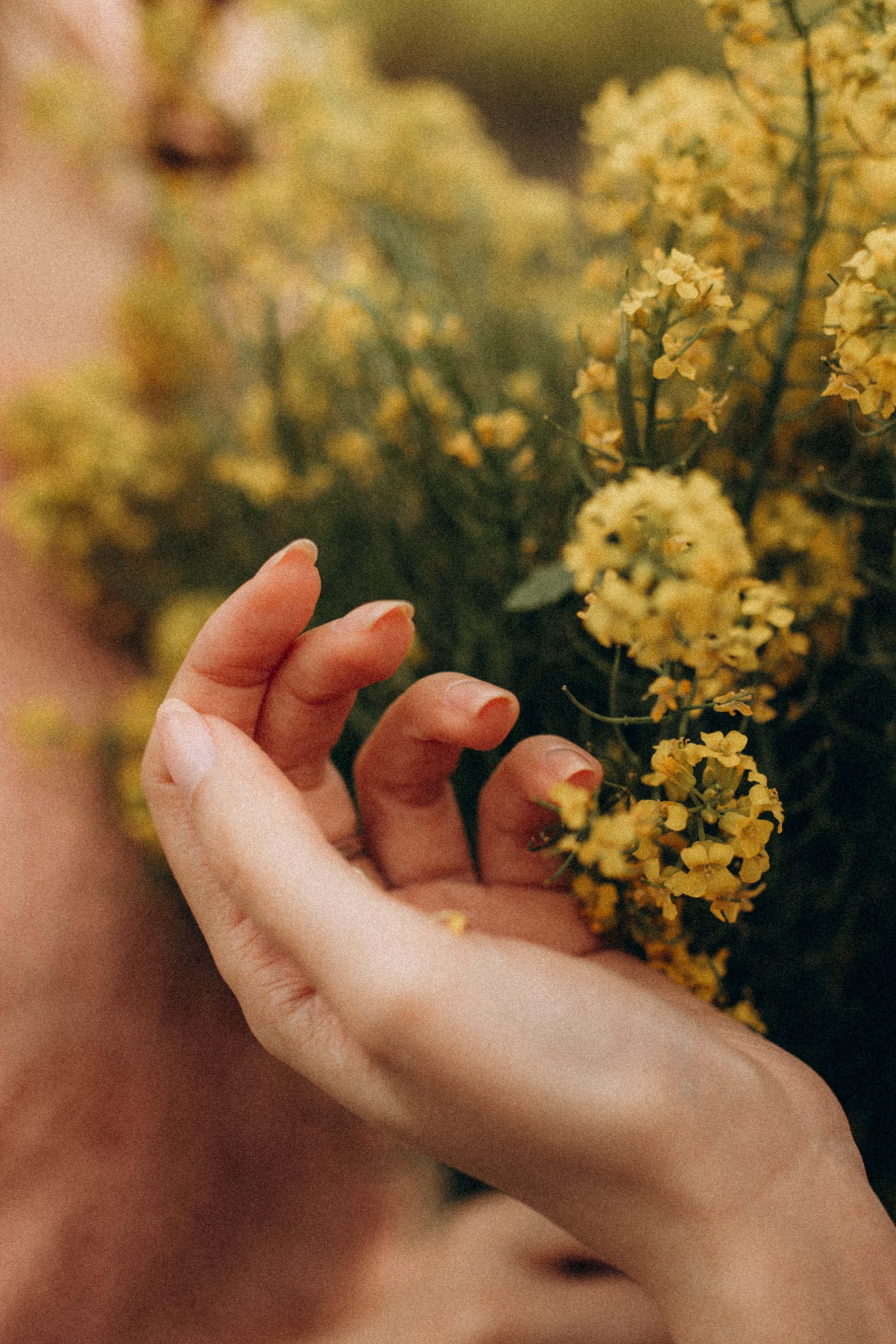 Сёстры Юля & Алина. Фотограф НОГИНСК, Москва, Анастасия Белая