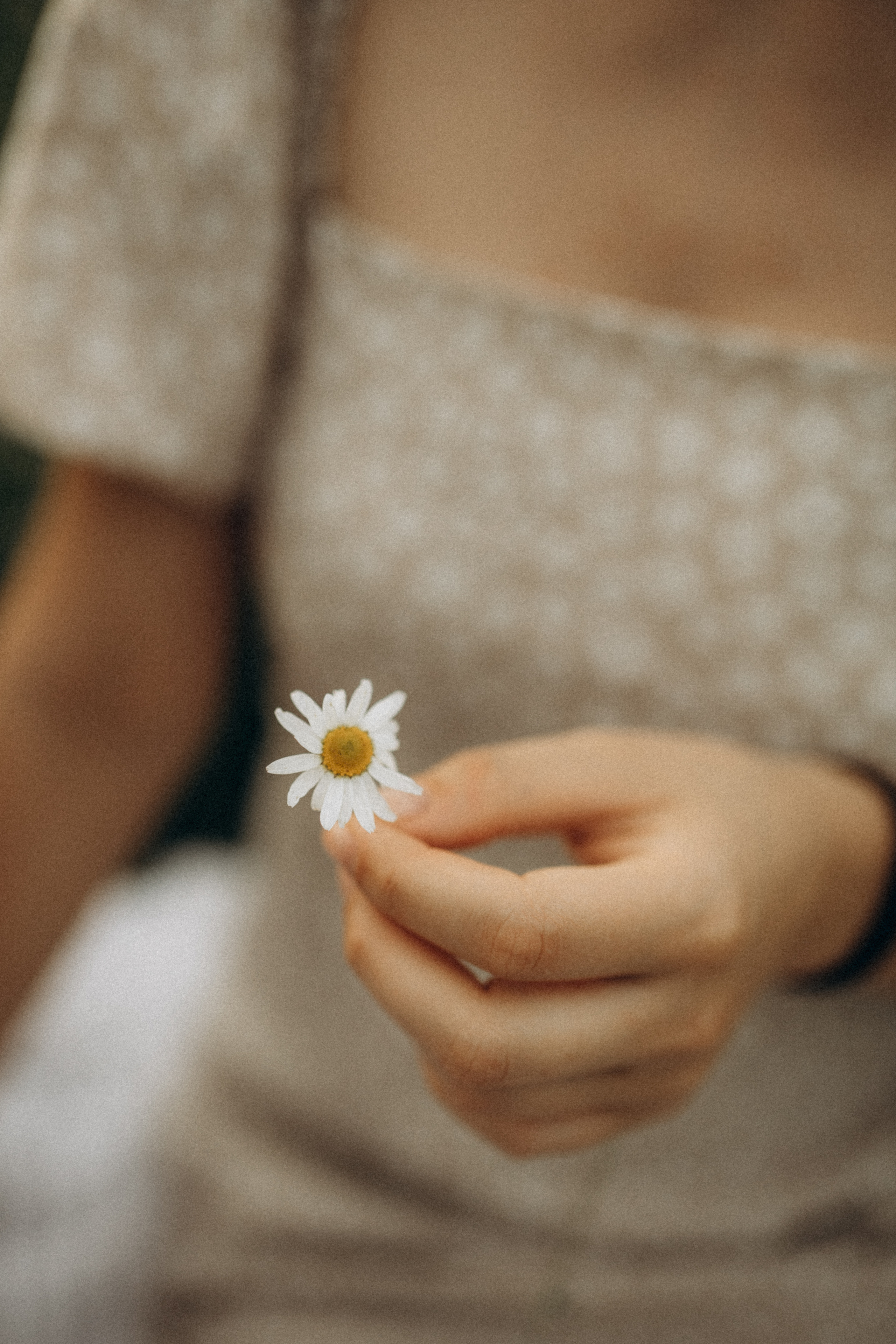 Семейная съёмка в ромашках. Фотограф НОГИНСК, Москва, Анастасия Белая