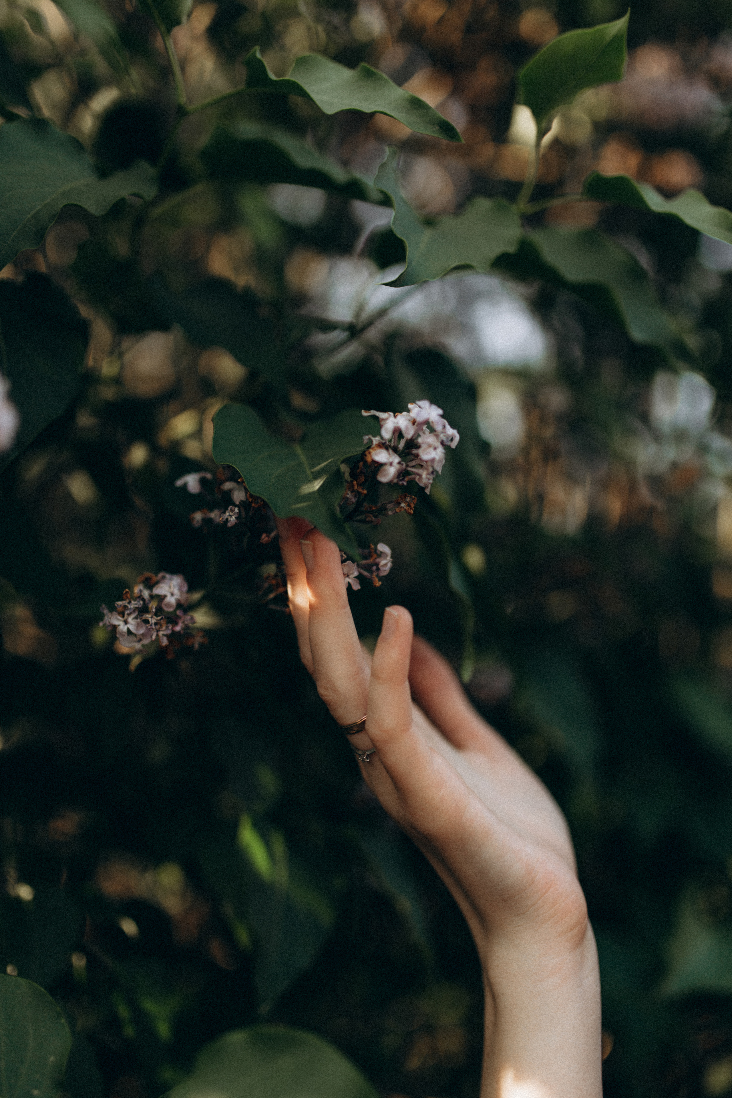 Лена & Миша. Фотограф НОГИНСК, Москва, Анастасия Белая