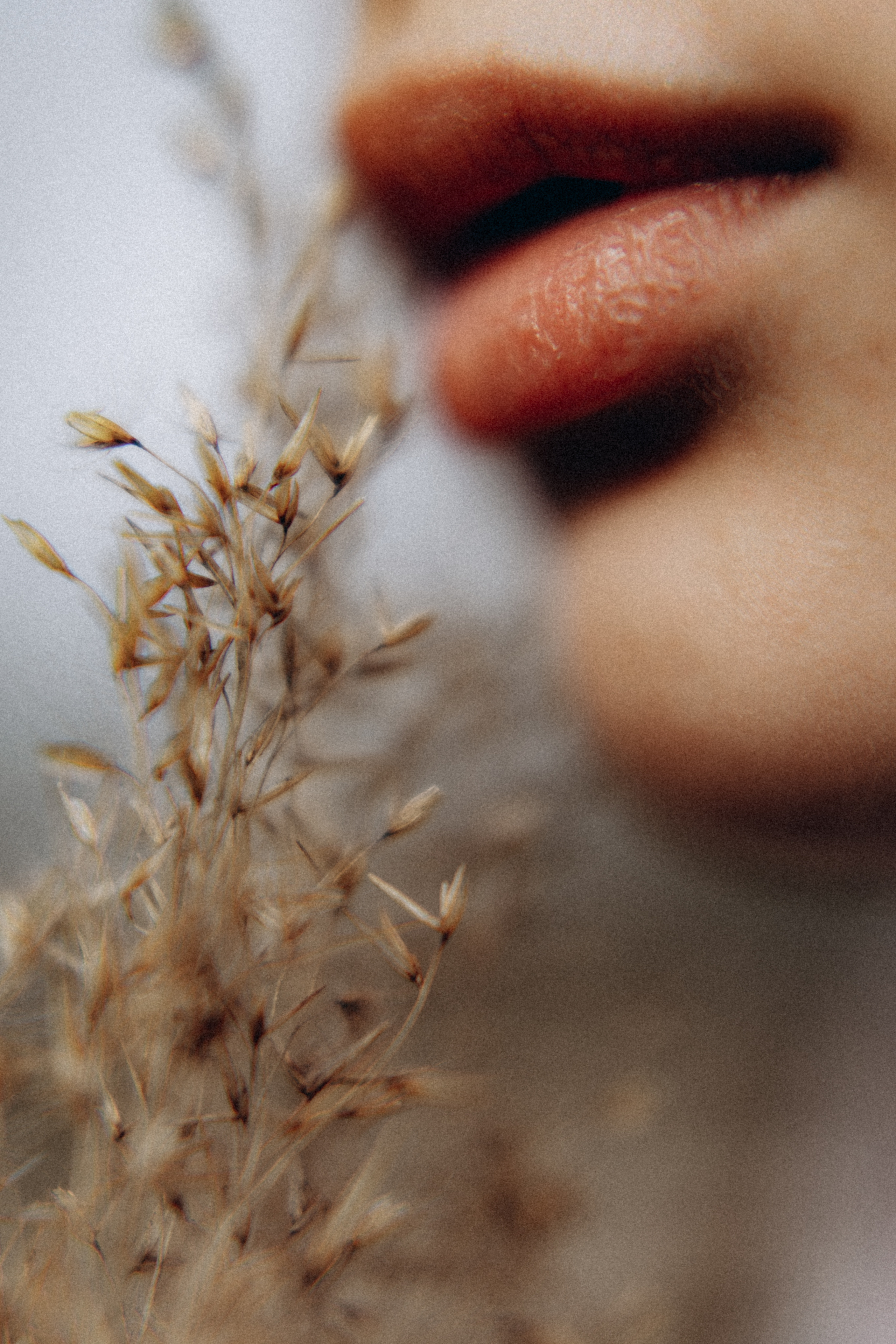 Виктория-Антуанетта. Фотограф НОГИНСК, Москва, Анастасия Белая