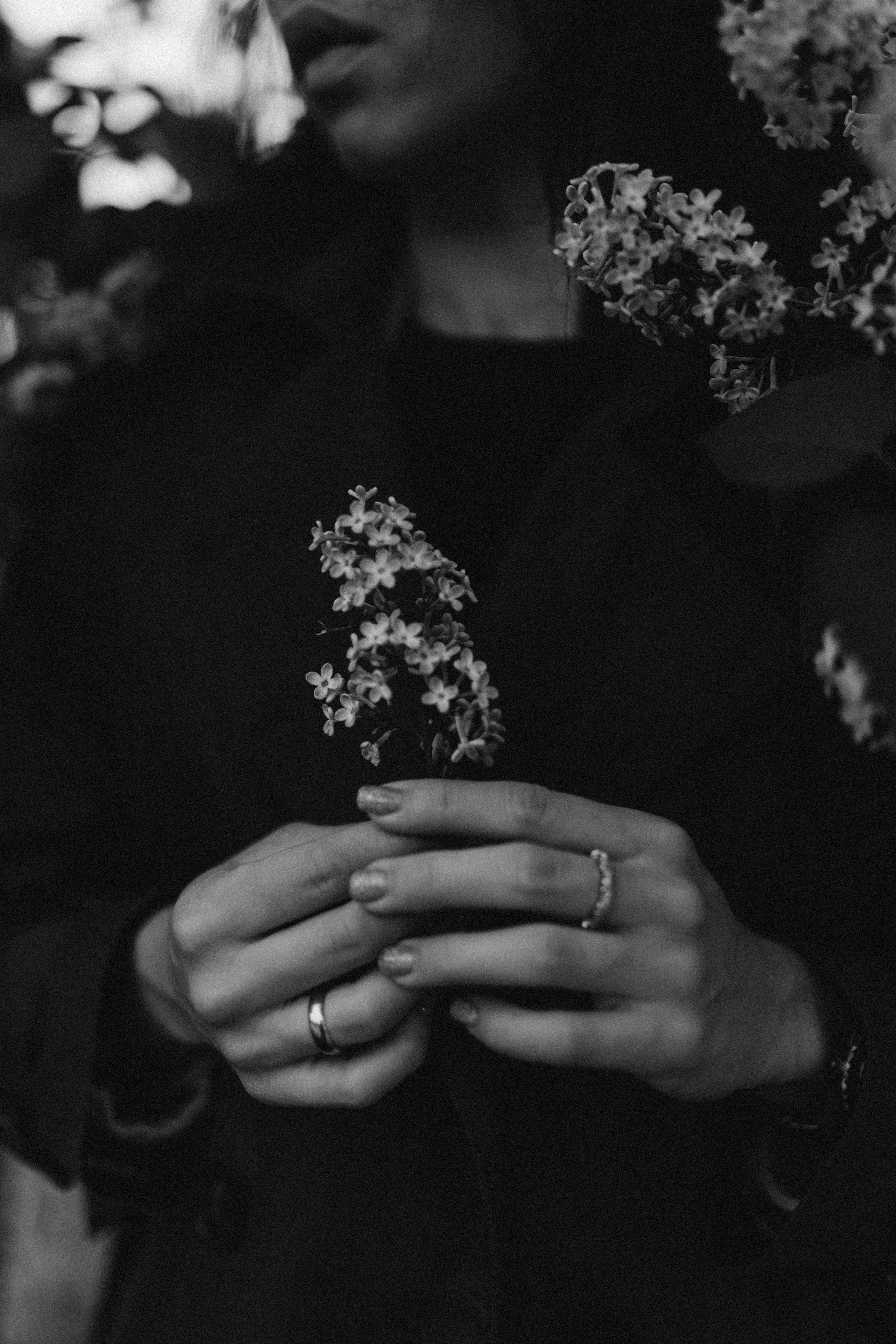 Алёна. Фотограф НОГИНСК, Москва, Анастасия Белая