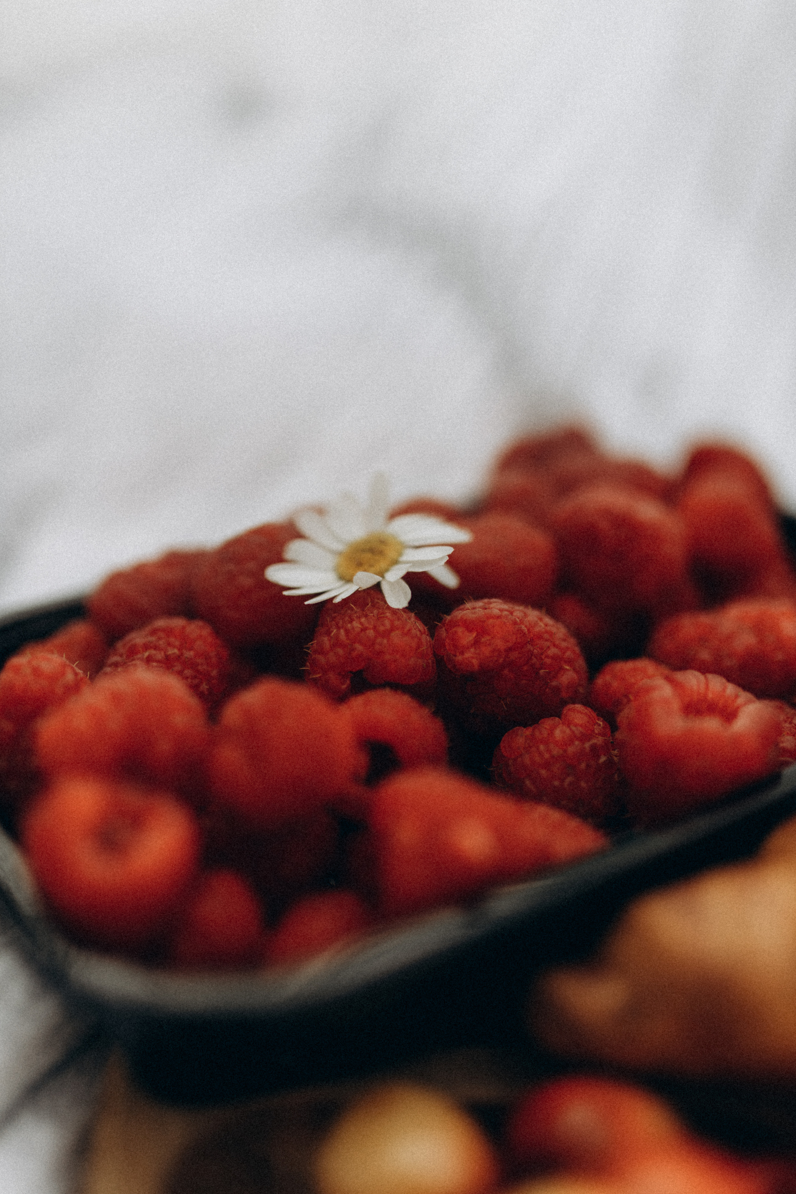 Семейная съёмка в ромашках. Фотограф НОГИНСК, Москва, Анастасия Белая