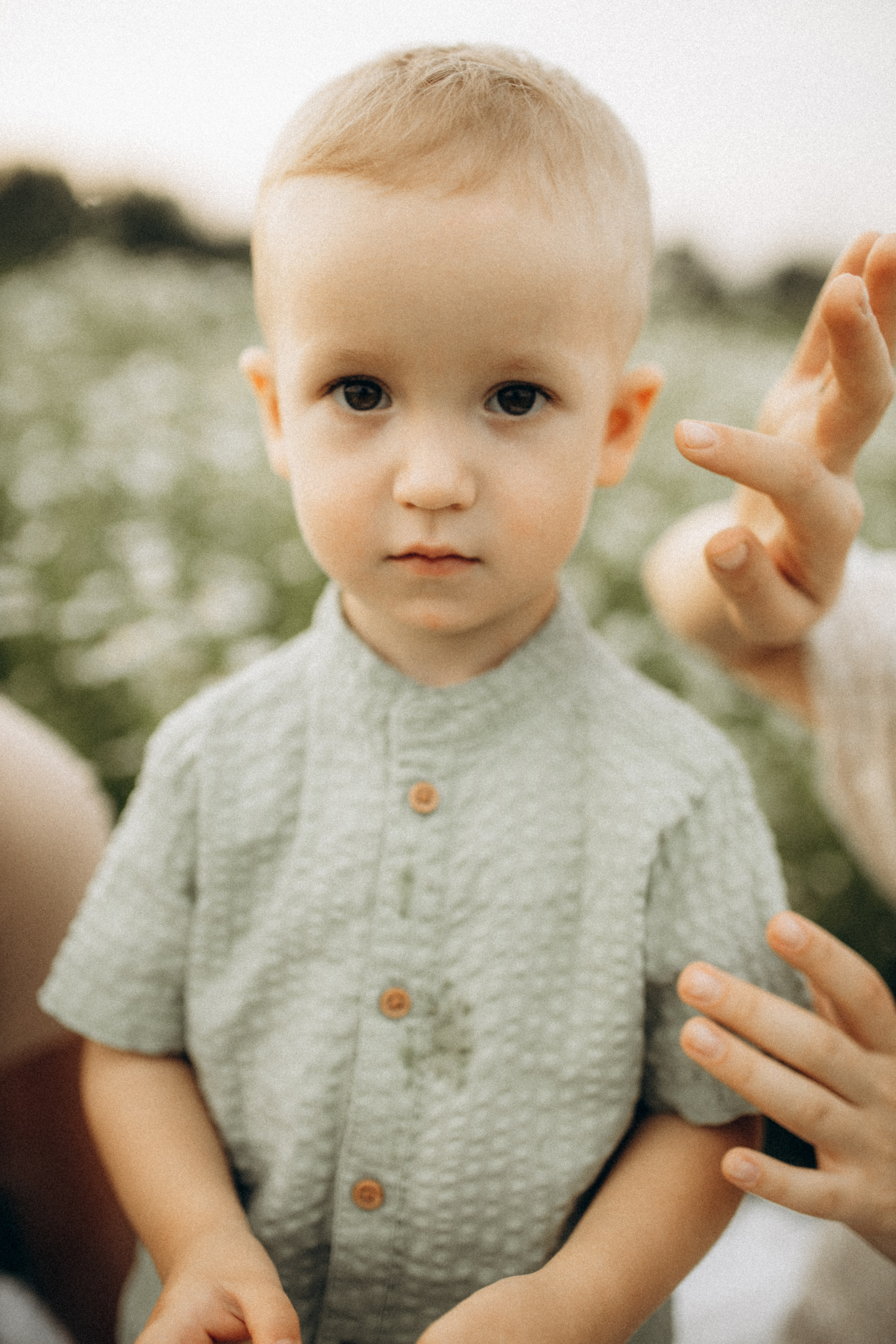 Семейная съёмка в ромашках. Фотограф НОГИНСК, Москва, Анастасия Белая