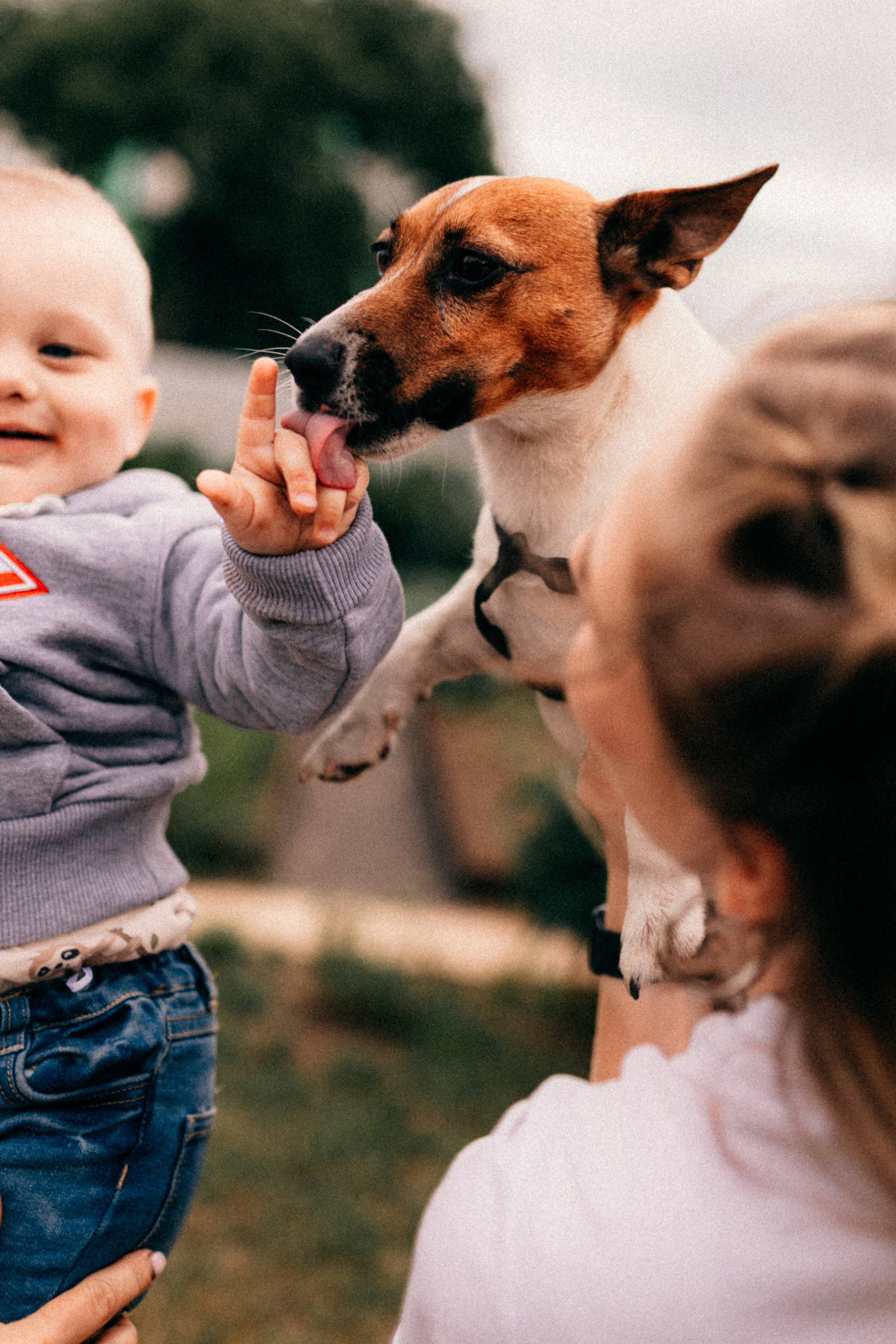 Захару годик. Фотограф НОГИНСК, Москва, Анастасия Белая