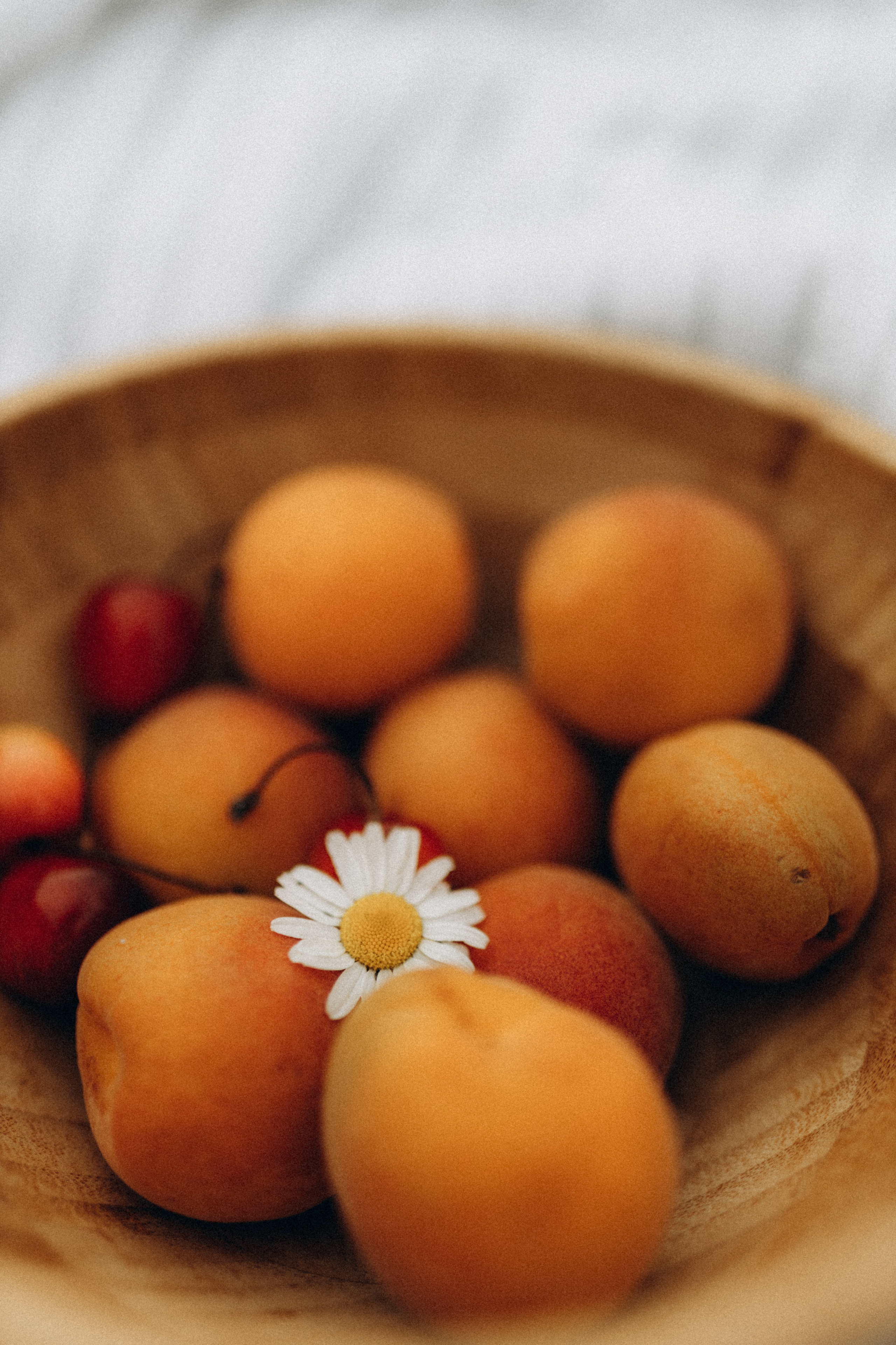 Семейная съёмка в ромашках. Фотограф НОГИНСК, Москва, Анастасия Белая