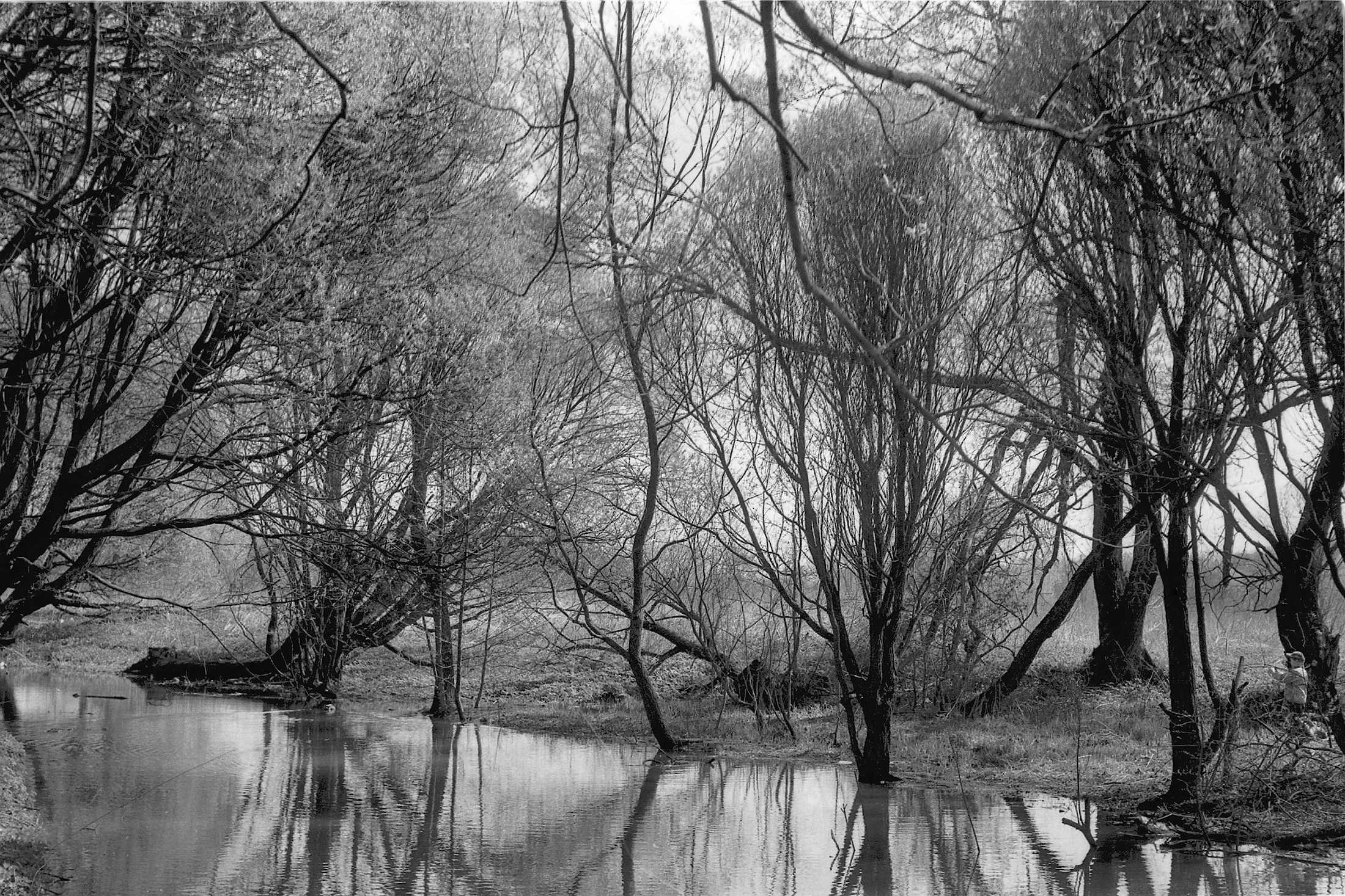 Пейзаж. Портретный фотограф в Москве Михаил Воронцов