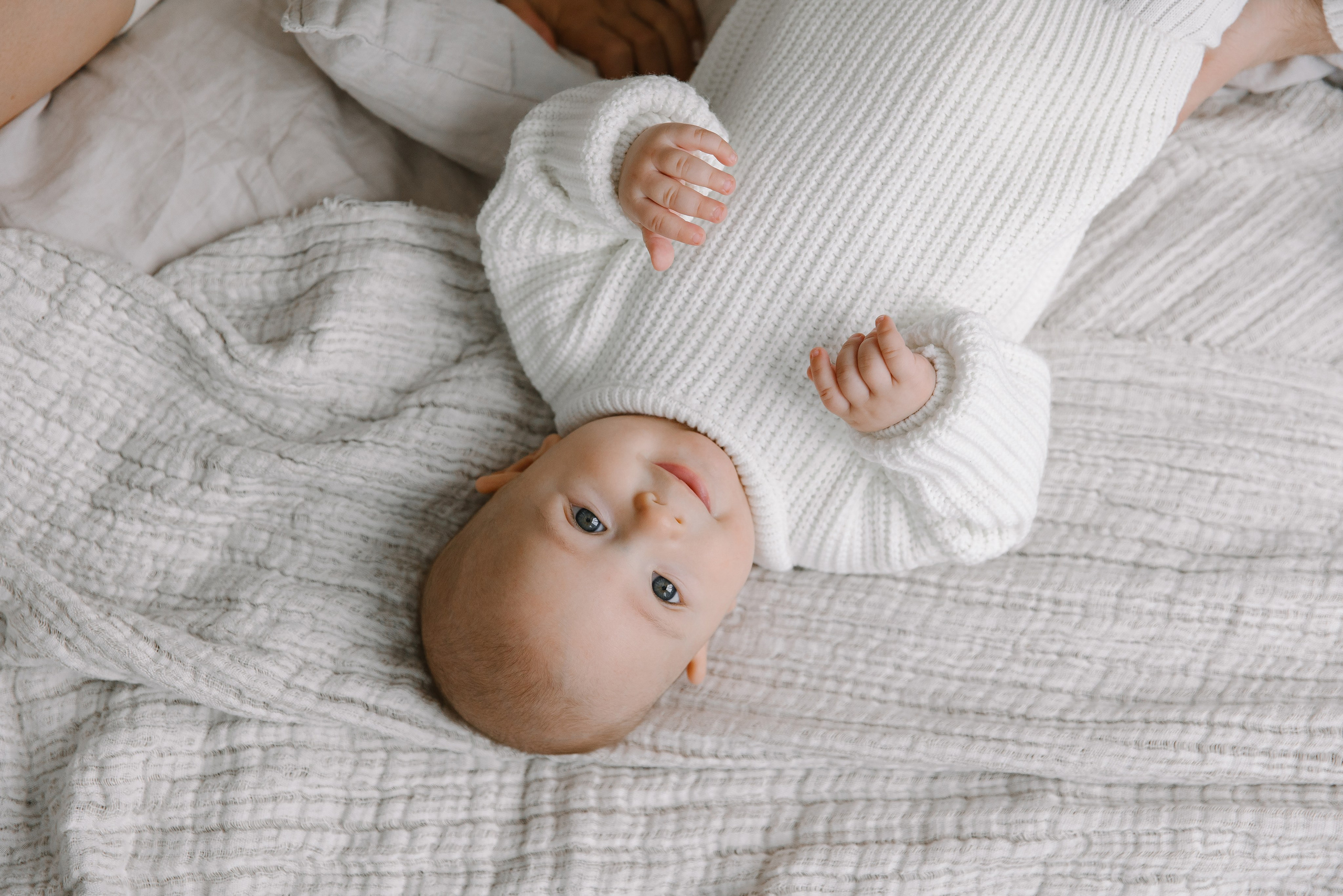 Новый год вчетвером. Фотограф Елена Краснопевцева