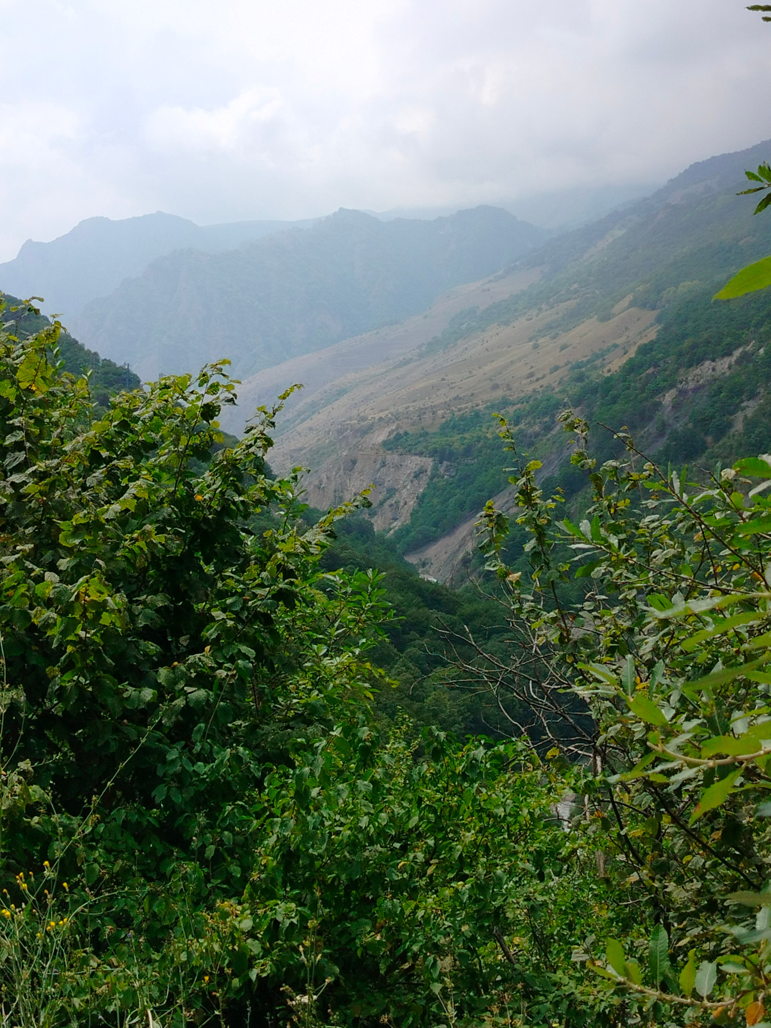 Природа. Пейзажи. Фотограф в Санкт-Петербурге Александр Костюнин