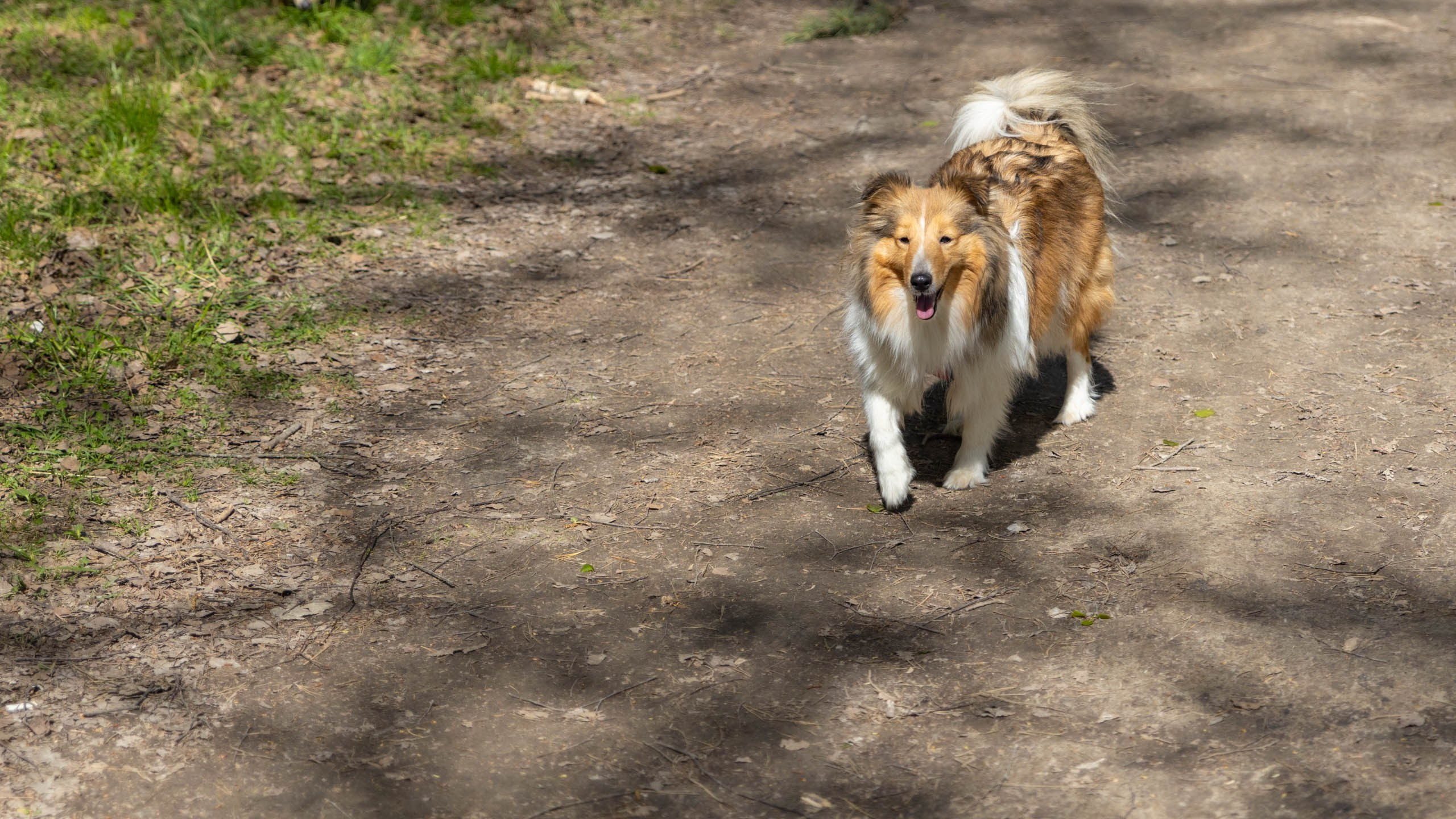 202404 Элис и Лора. Фотографии