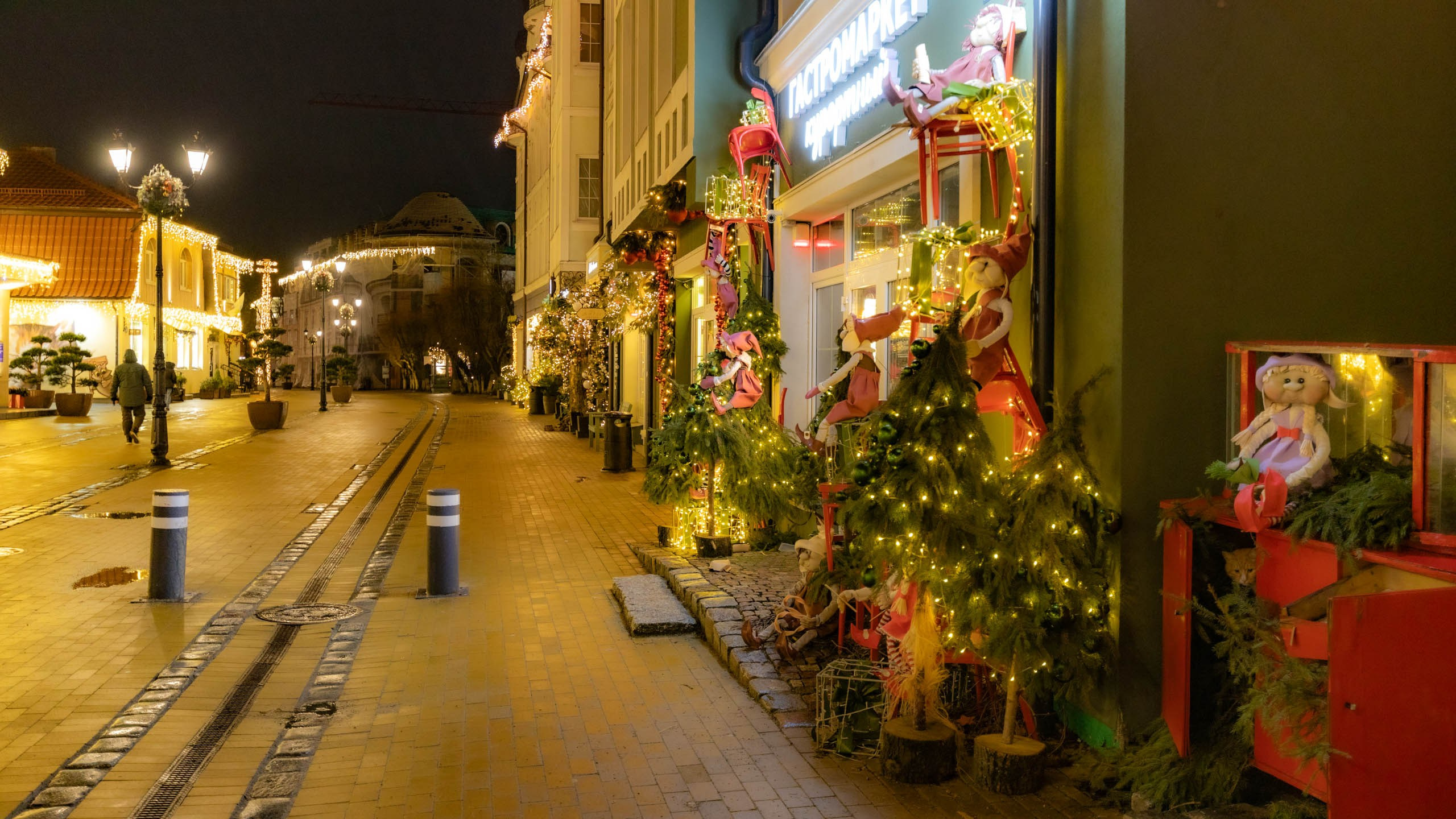 2024 01 Калининград (Светлогорск, Зеленоградск). Фотографии