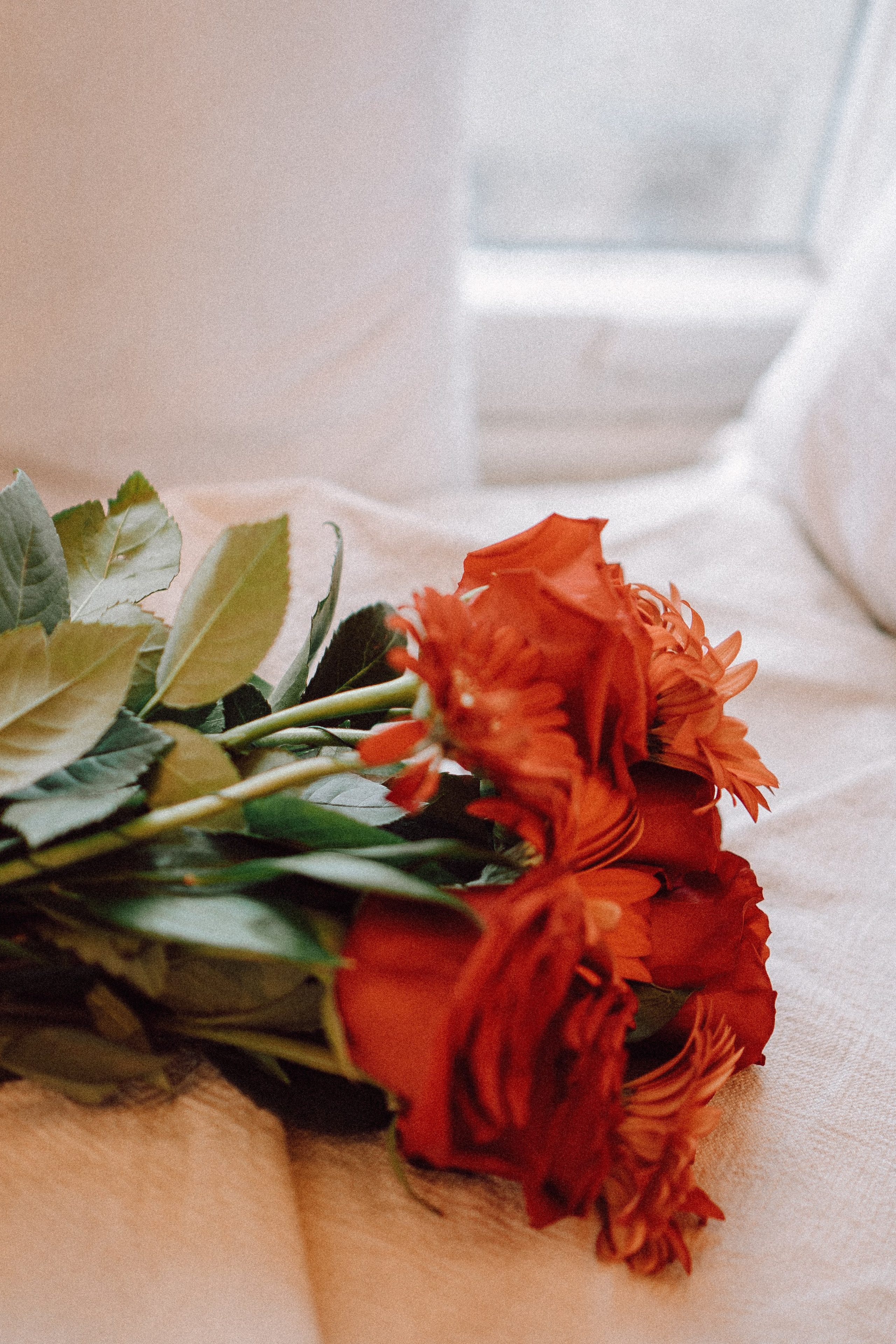 Новогодний стиль вдвоем. Профессиональный фотограф, Санкт-Петербург — Виктория Богомолова