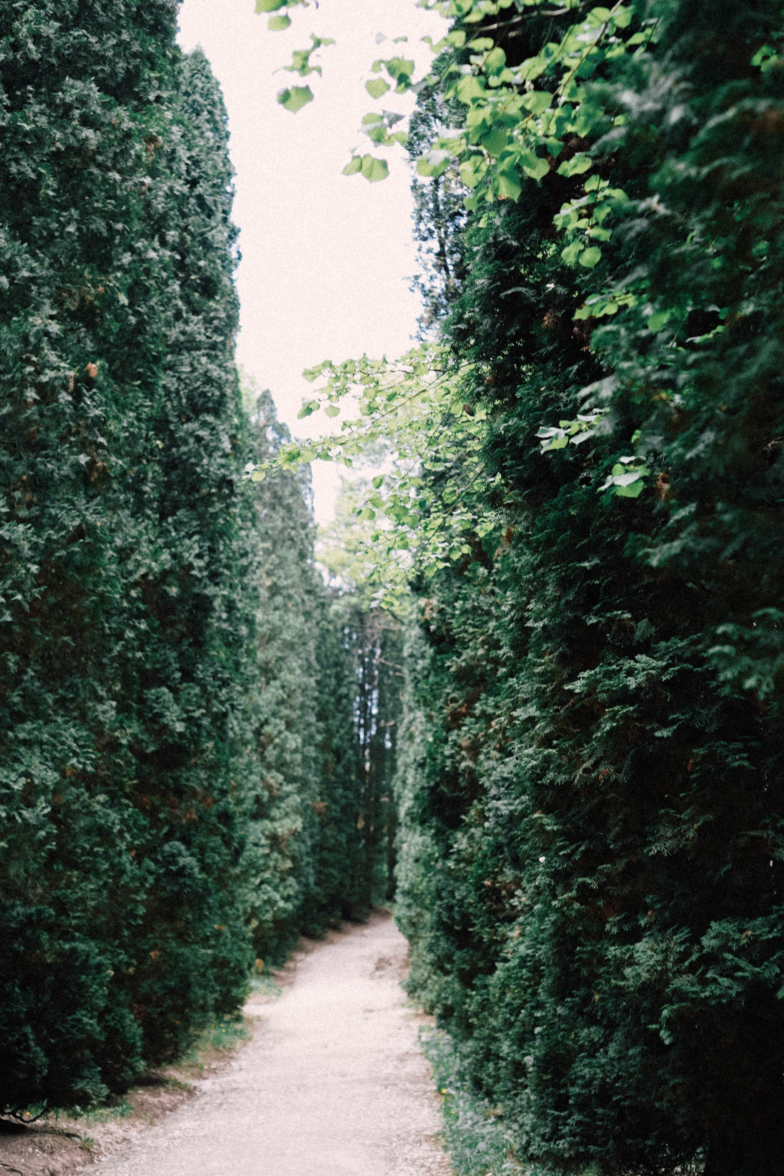 КИСЛОВОДСК. Профессиональный фотограф, Санкт-Петербург — Виктория Богомолова