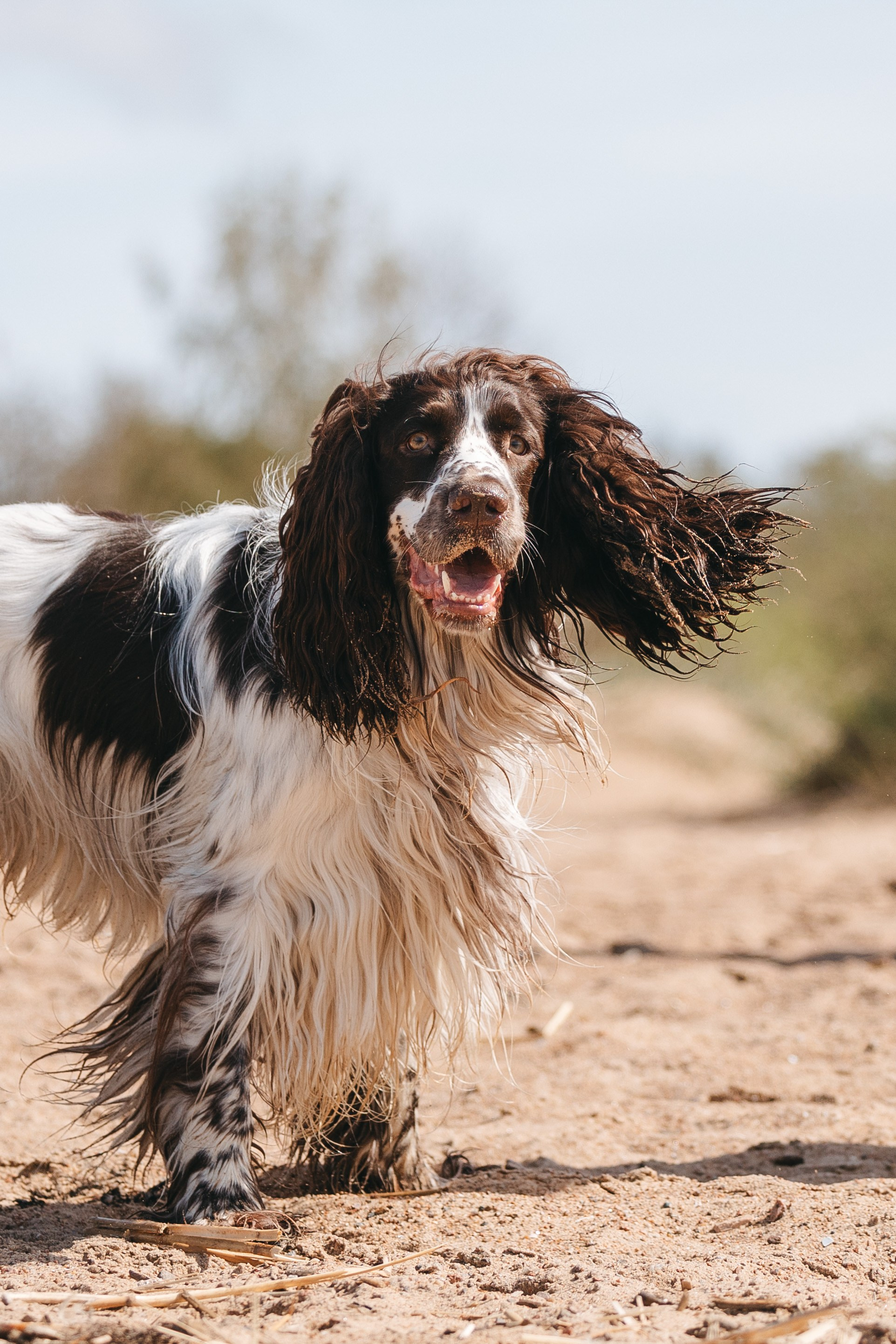 Спанимания. Фотограф анималист Осипчикова Мария