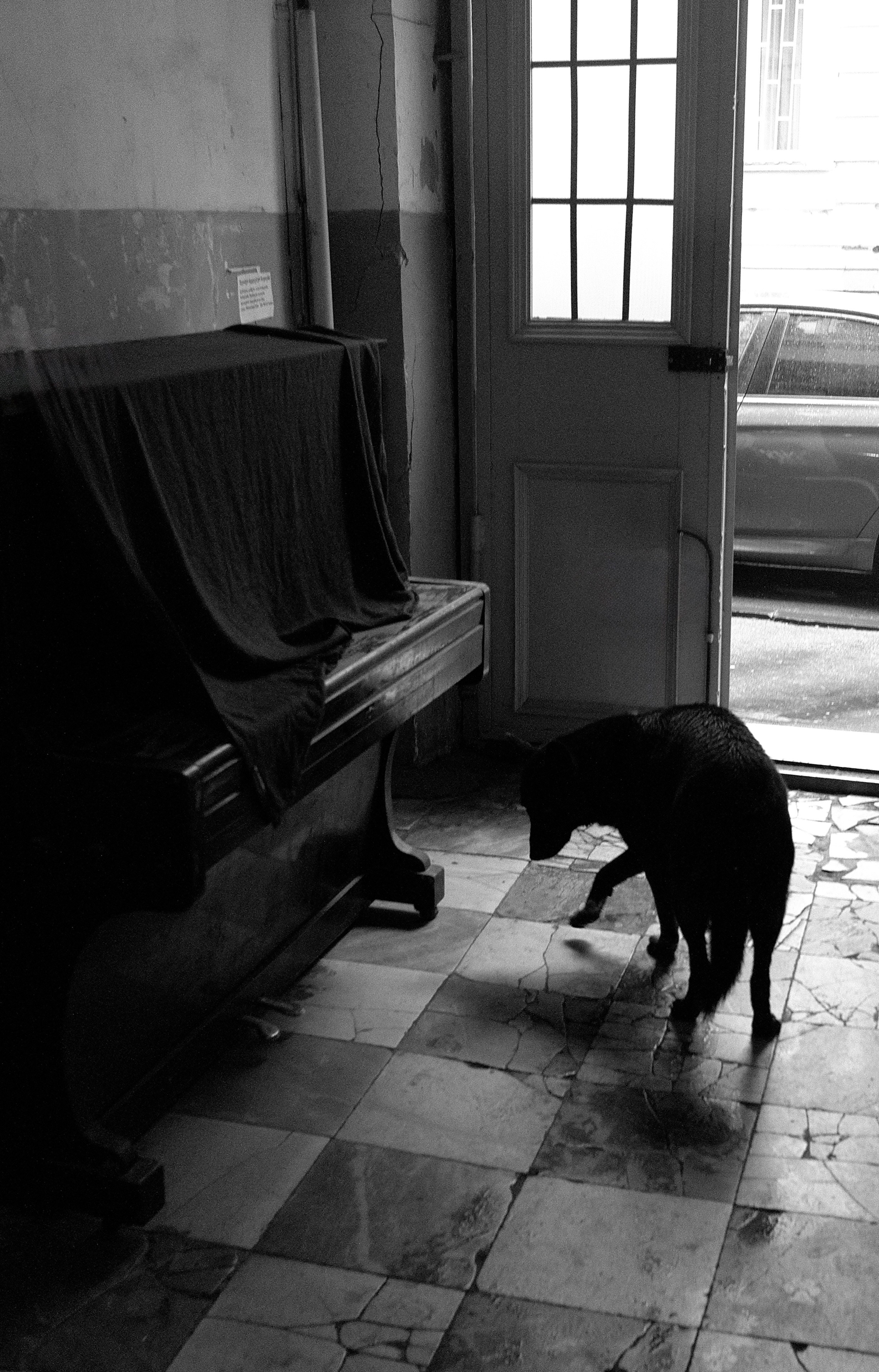 Фотографии из Грузии для интерьеров. Фотографии Руслана Сайдалиева (Рус Сай)