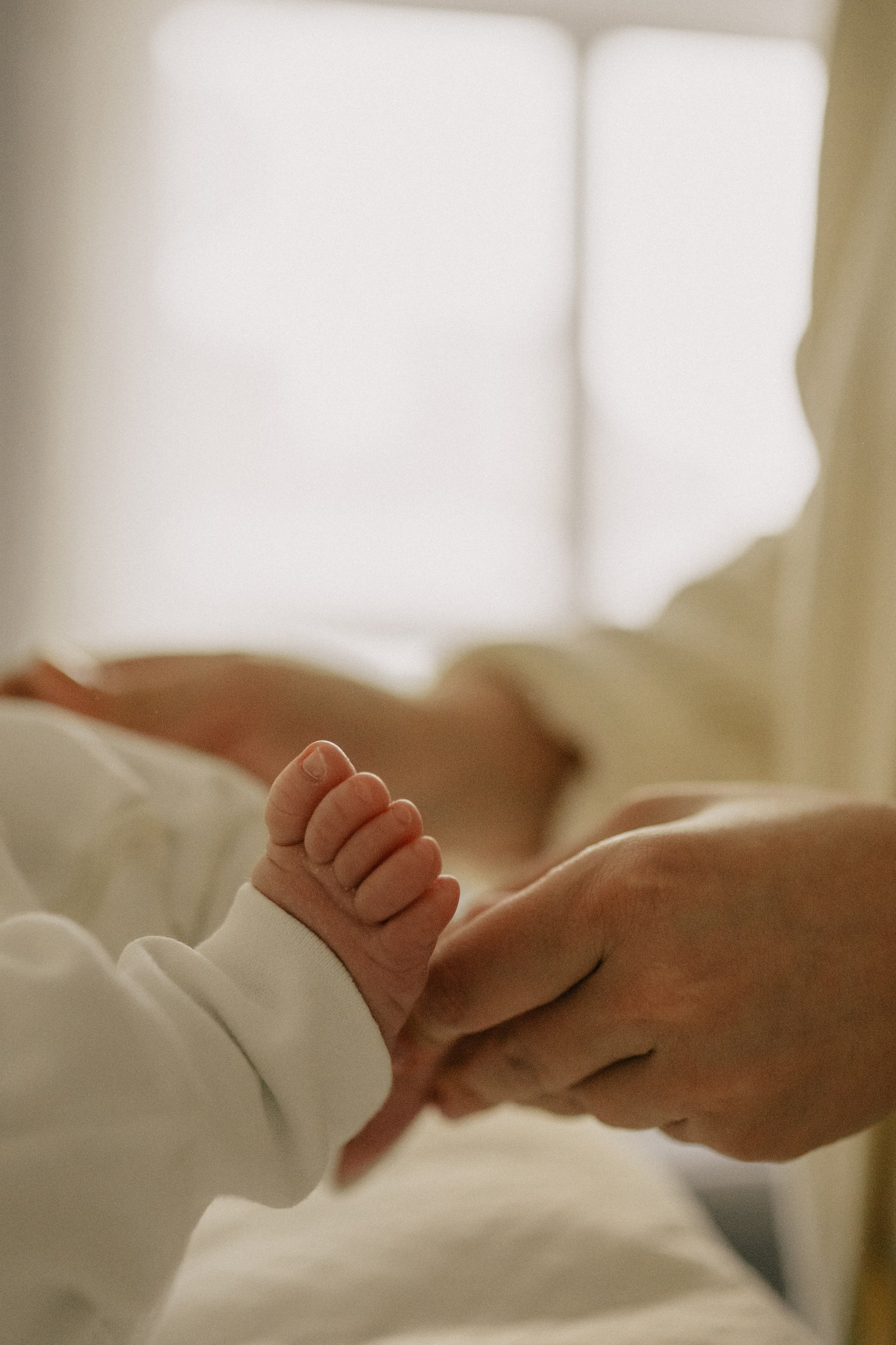 Даша, Ваня, Лео. Семейный фотограф Москва