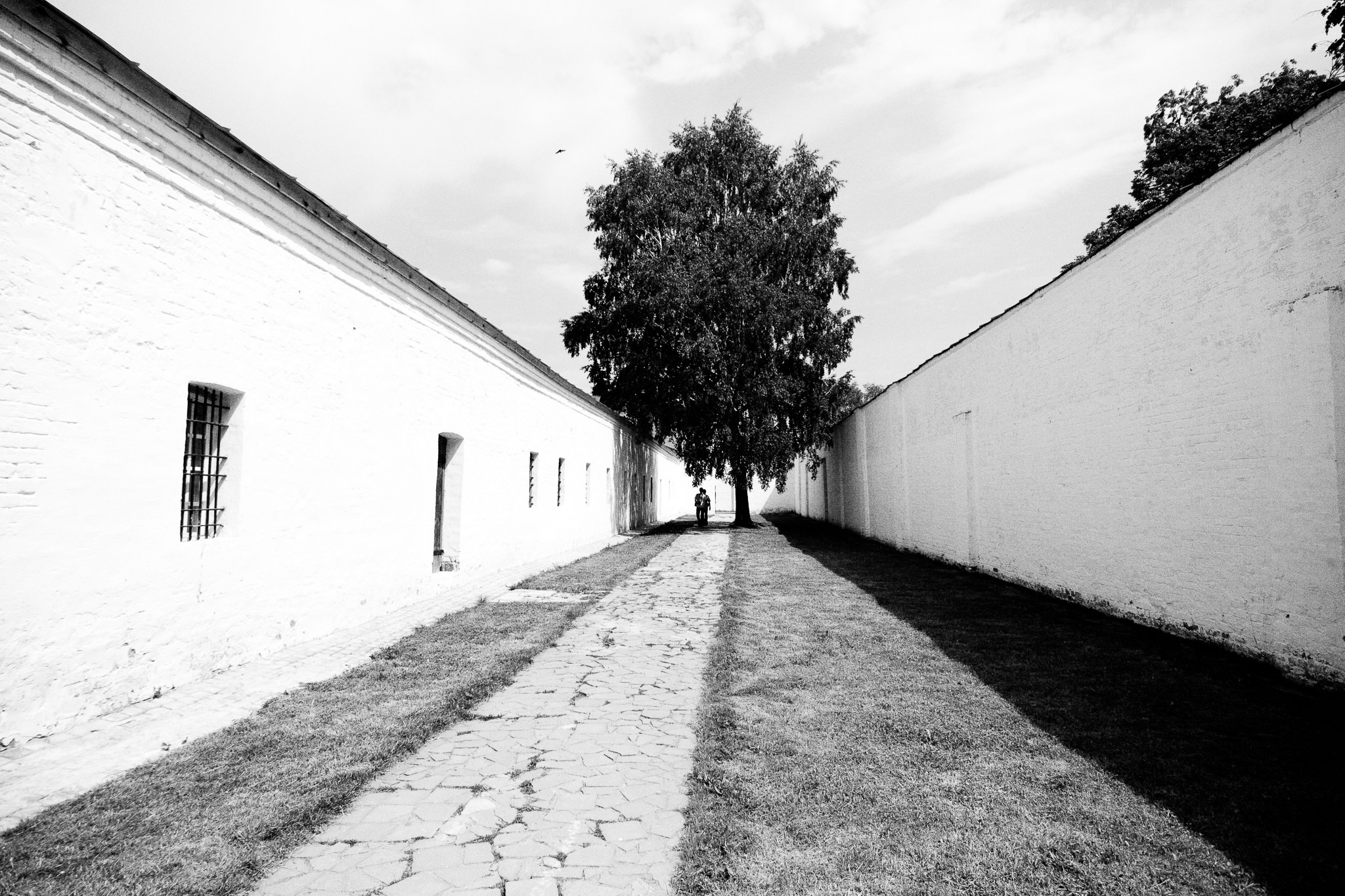 Композиция кадра. Семейный и свадебный фотограф в Майкопе Михаил Мартиросян