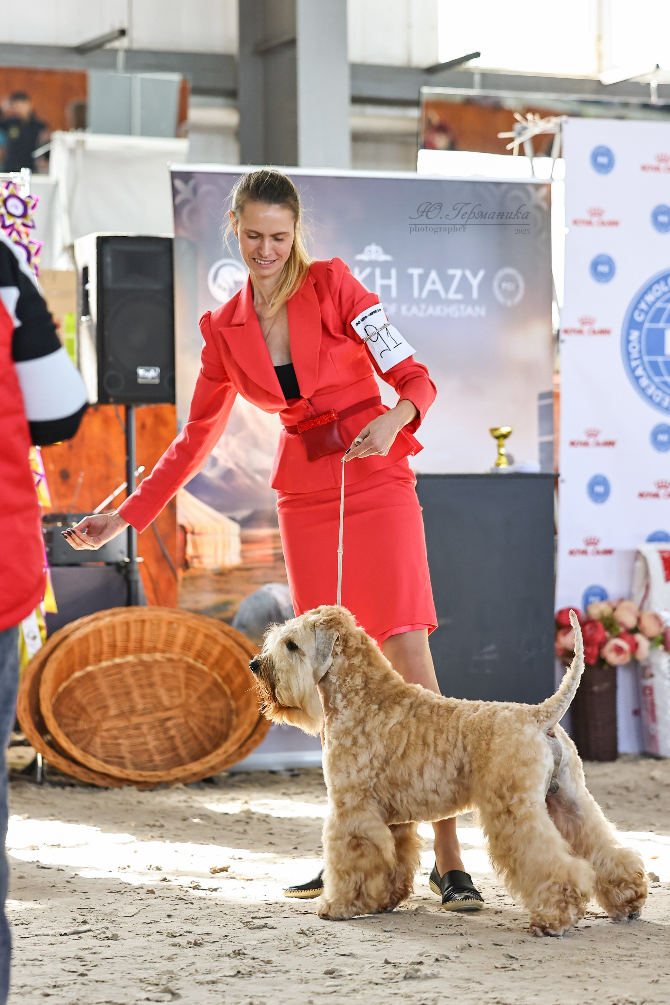Астана 2хCACIB 26-28.09.2025. Фотограф-анималист Юлия Германика